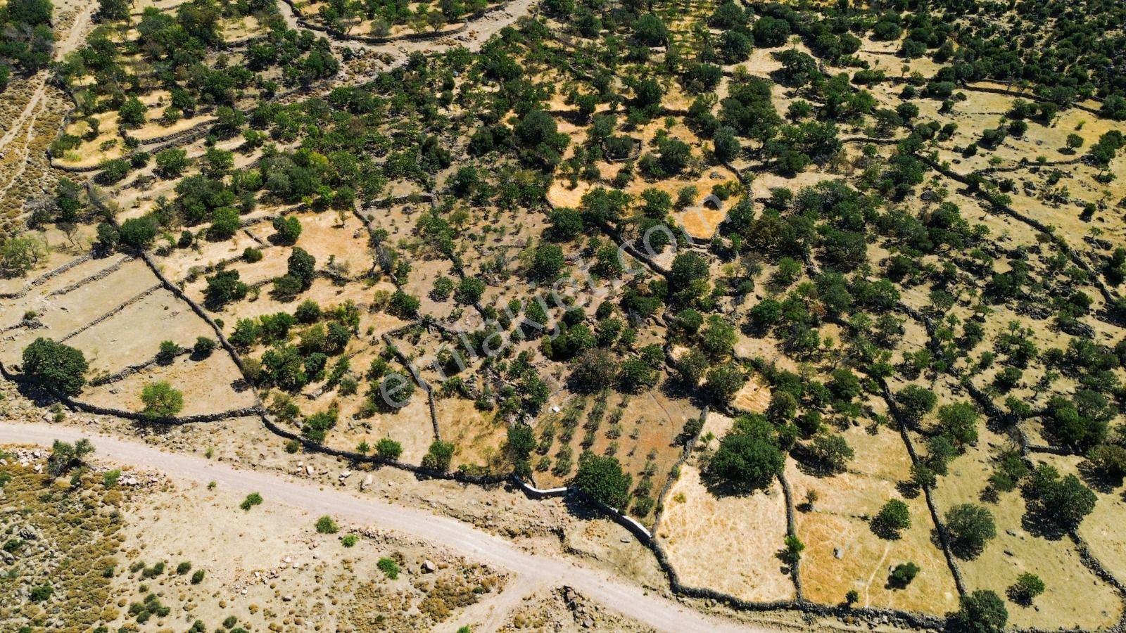 Yunusemre Dağyenice Mahallesinde Satılık Tarlalar - Görsel 20