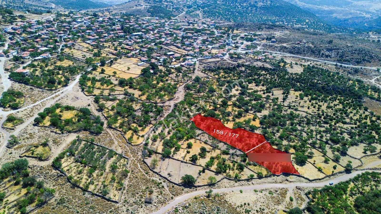 Yunusemre Dağyenice Mahallesinde Satılık Tarlalar - Görsel 4