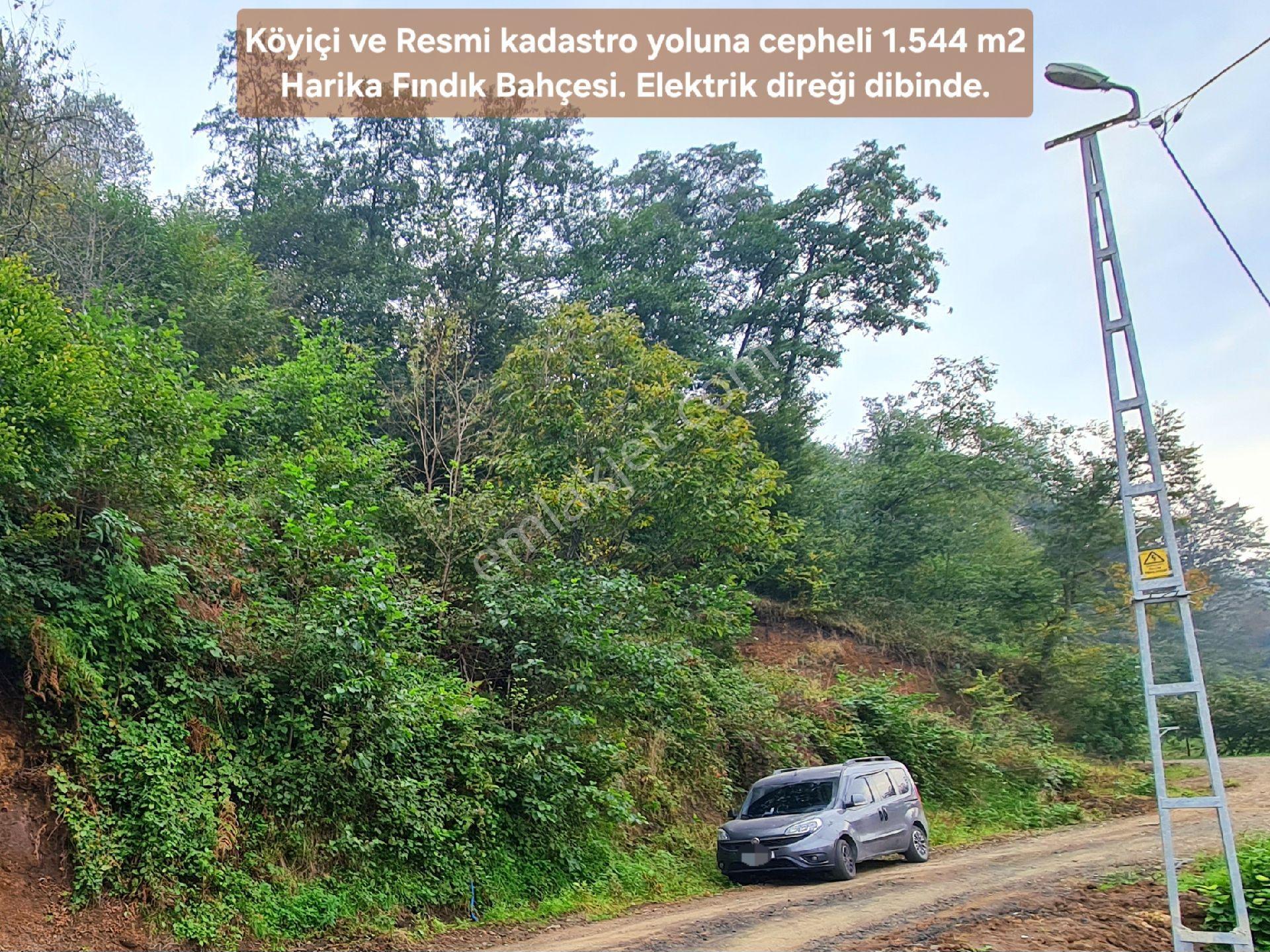 Trabzon Vakfıkebir Denizyakın 3kat %25imar Resmiyol Köyiçi Elk+su 1544m² Manzara Çokuygun Açıklamada - Görsel 21