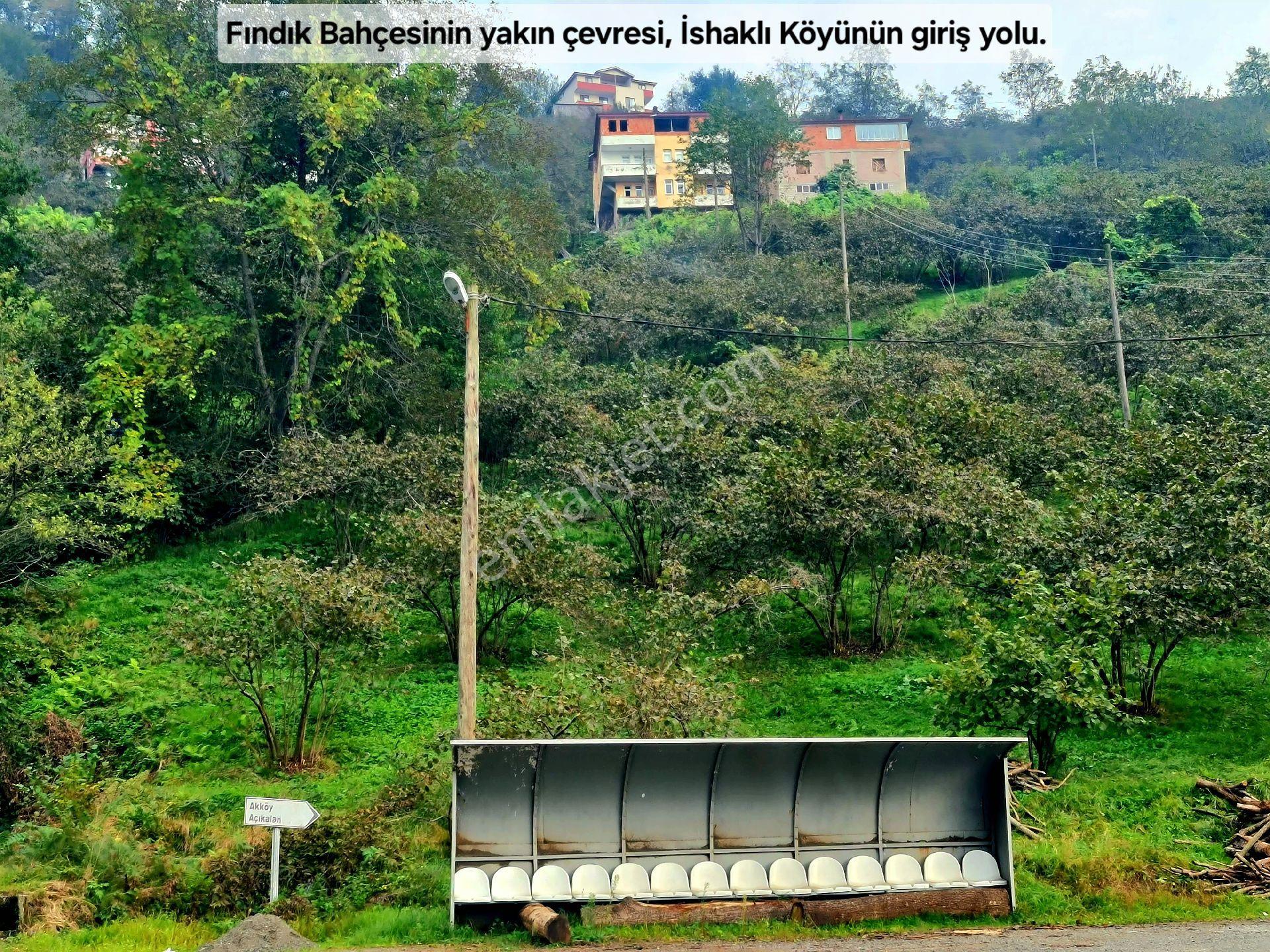 Trabzon Vakfıkebir Denizyakın 3kat %25imar Resmiyol Köyiçi Elk+su 1544m² Manzara Çokuygun Açıklamada - Görsel 7