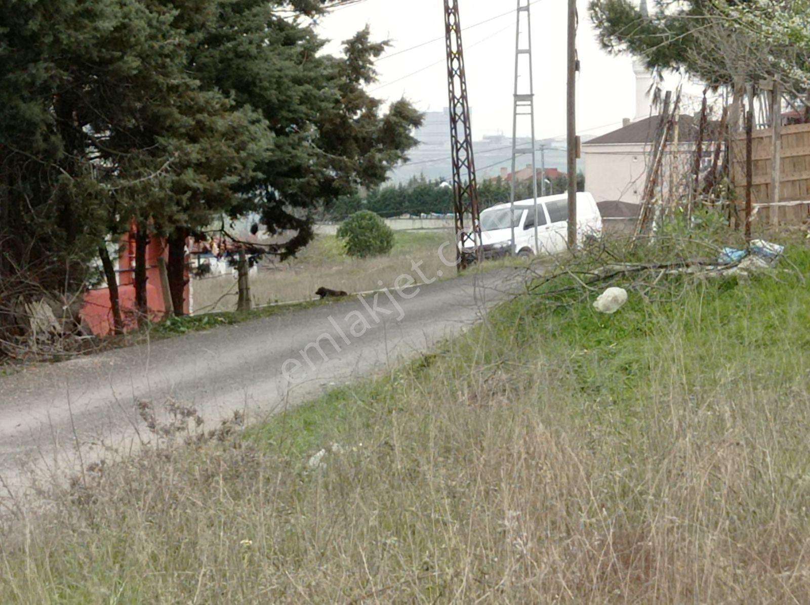 Büyükçekmece Hürriyet Mahallesi'nde Acil Satılık 520 M2 Arsa - Görsel 16