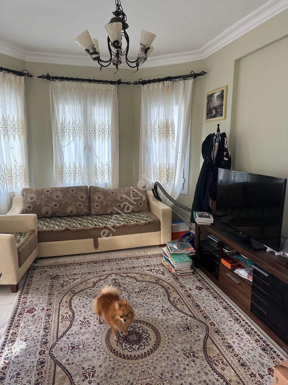 Girne Alsancak'ta Fırsat Daire – Sadece £99.000! - Görsel 4