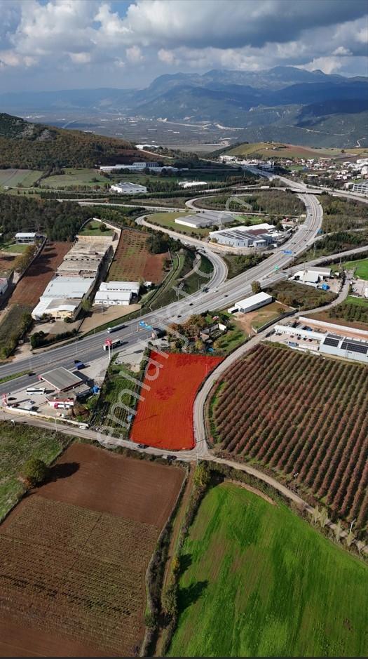 Acil Satilik Tarla -bursa / Kestel /turanköy 4.903,58 M² - Görsel 7