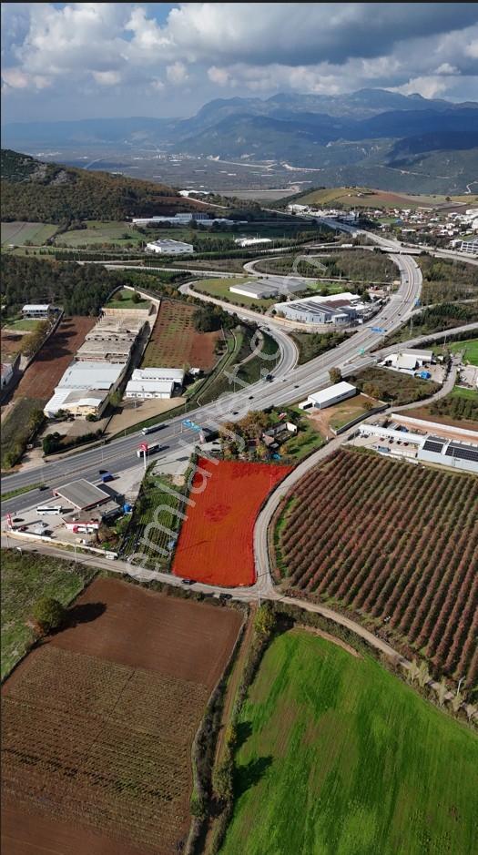 Acil Satilik Tarla -bursa / Kestel /turanköy 4.903,58 M² - Görsel 6