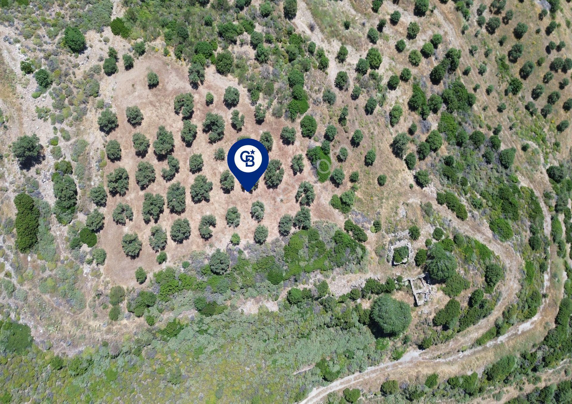 Sarpıncık'ta 5437 M² Yatırımlık Tarla&üzüm Bağı - Görsel 5