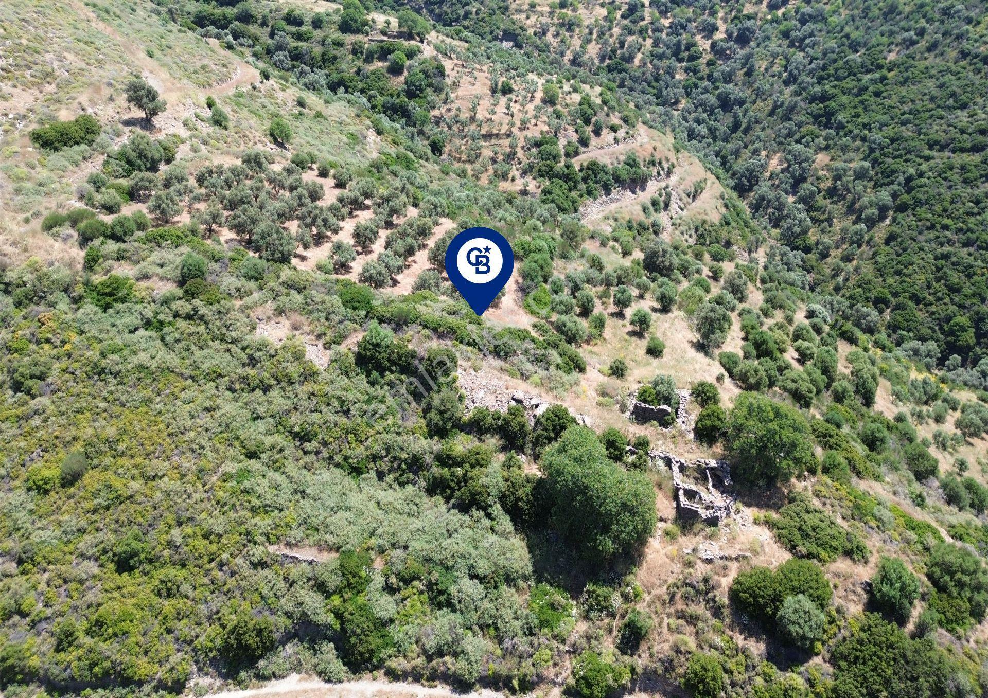 Sarpıncık'ta 5437 M² Yatırımlık Tarla&üzüm Bağı - Görsel 15