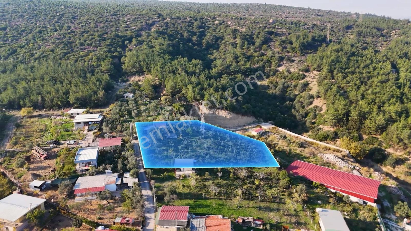 Yatırım Ve Yaşam Fırsatı: 2.178 M² Bağ Ve Bahçe Arazisi - Görsel 33