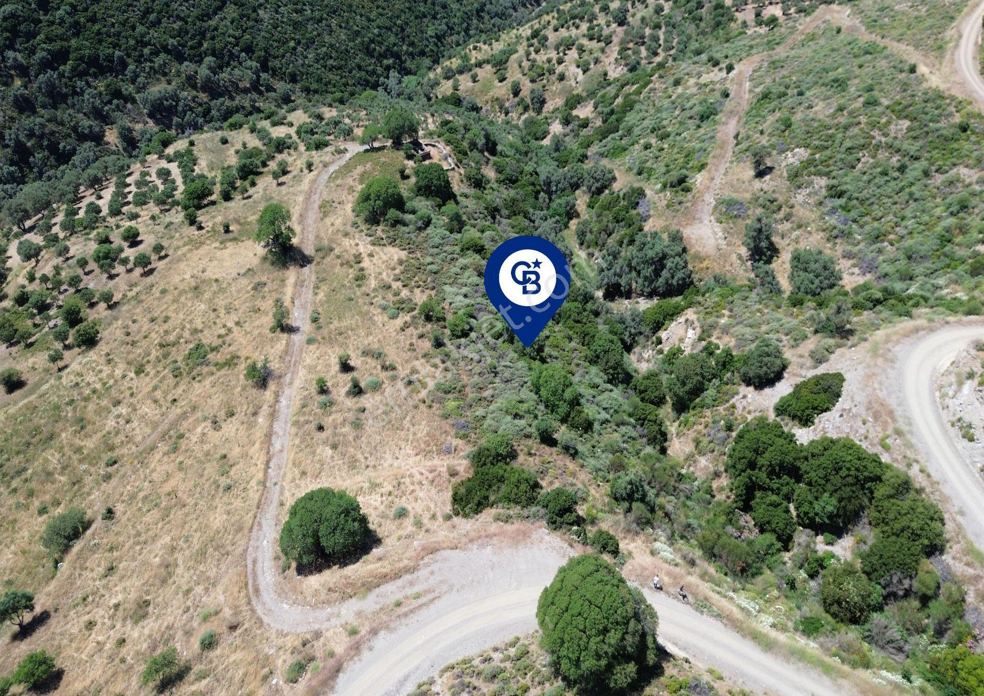 Karaburun Sarpıncık'ta 9.125 M² Satılık Tarla - Görsel 4