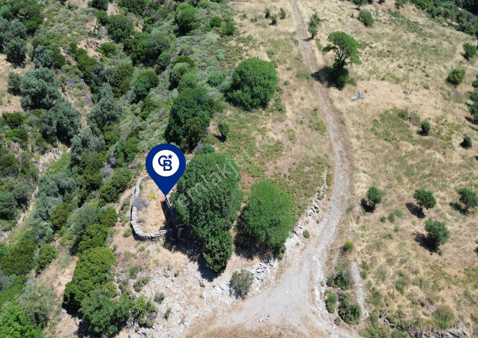 Karaburun Sarpıncık'ta 9.125 M² Satılık Tarla - Görsel 12