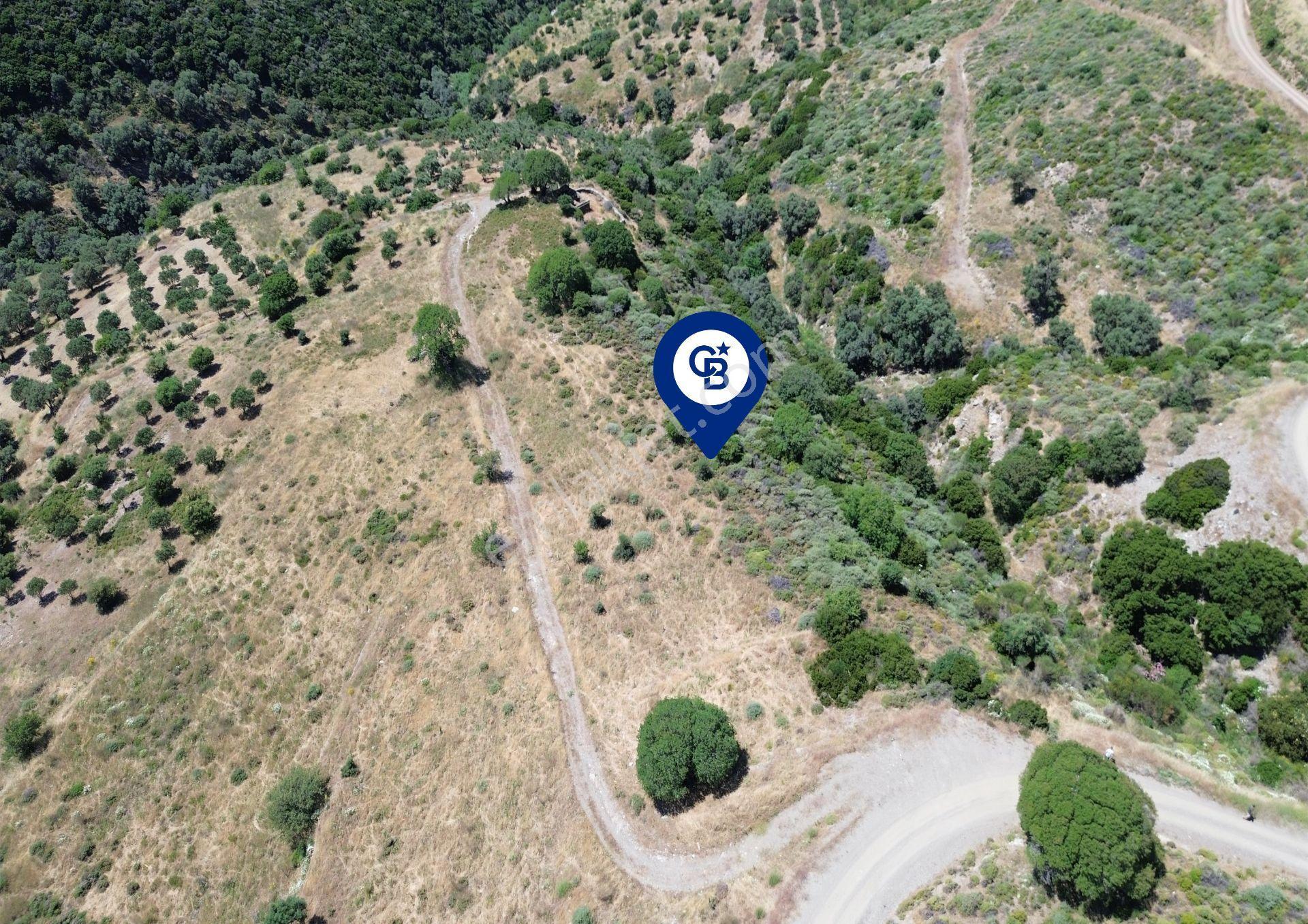 Karaburun Sarpıncık'ta 9.125 M² Satılık Tarla - Görsel 5