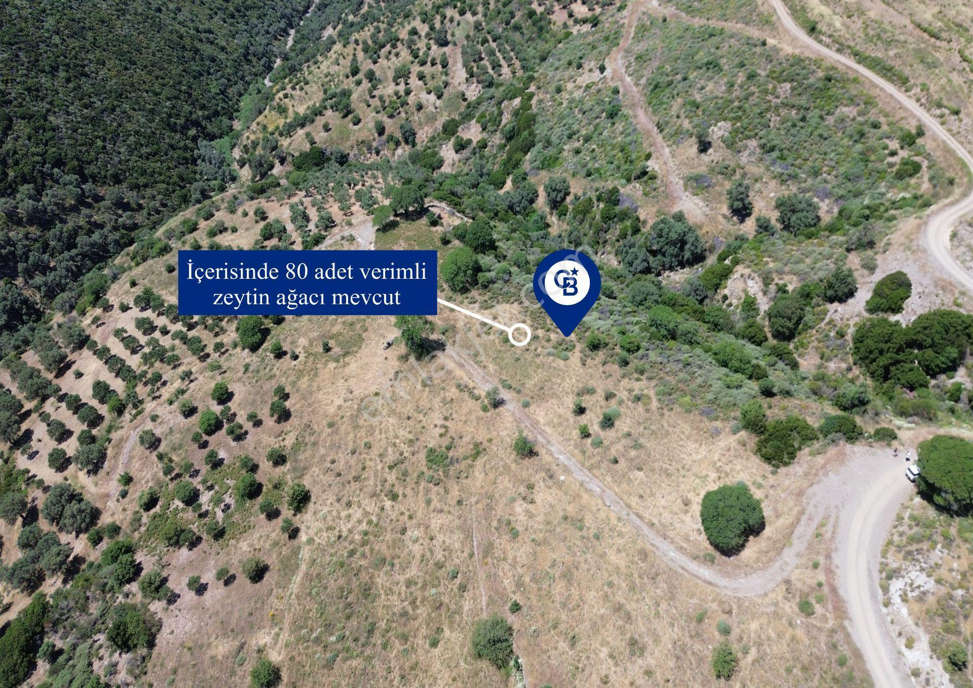 Karaburun Sarpıncık'ta 9.125 M² Satılık Tarla - Görsel 19