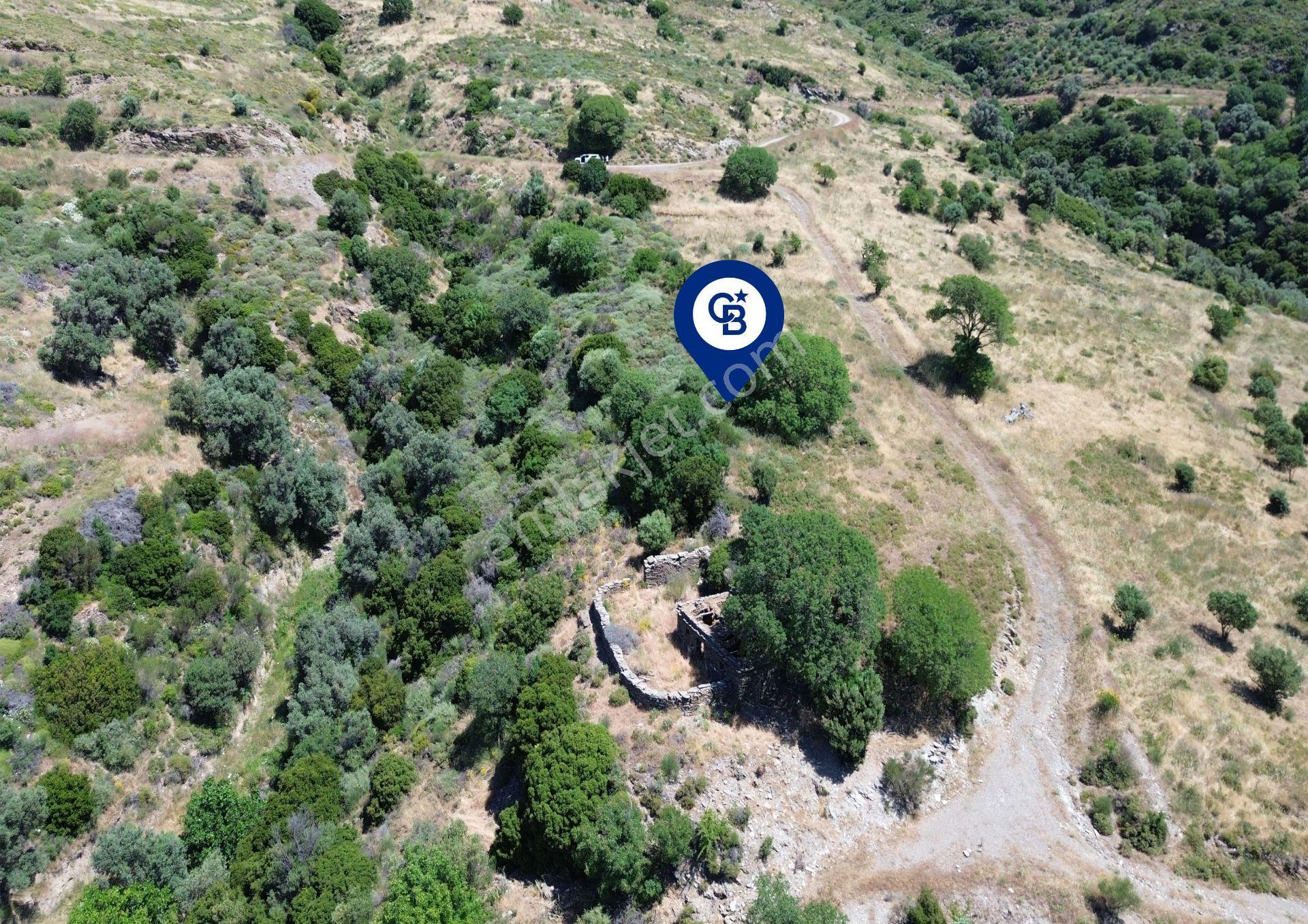Karaburun Sarpıncık'ta 9.125 M² Satılık Tarla - Görsel 14