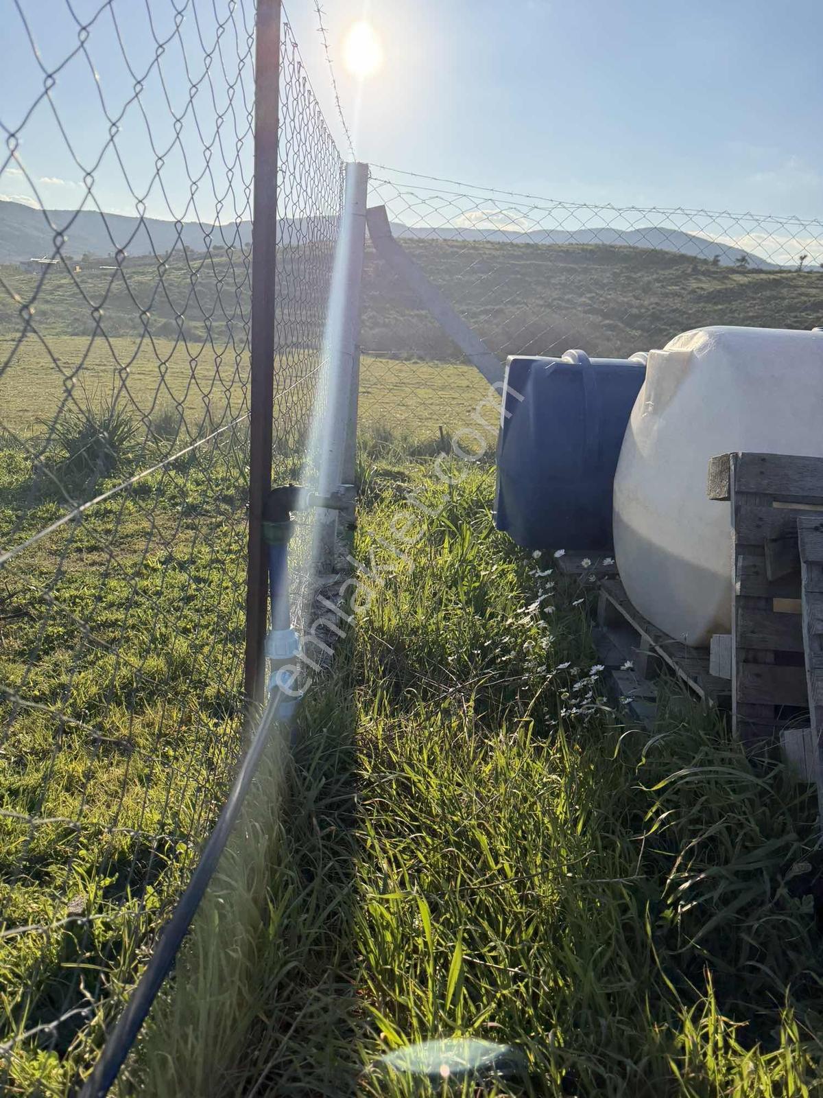 Yeni Foça Bucak Mevkiinde Doğayla İç İçe Yaşam Fırsatı! - Görsel 7