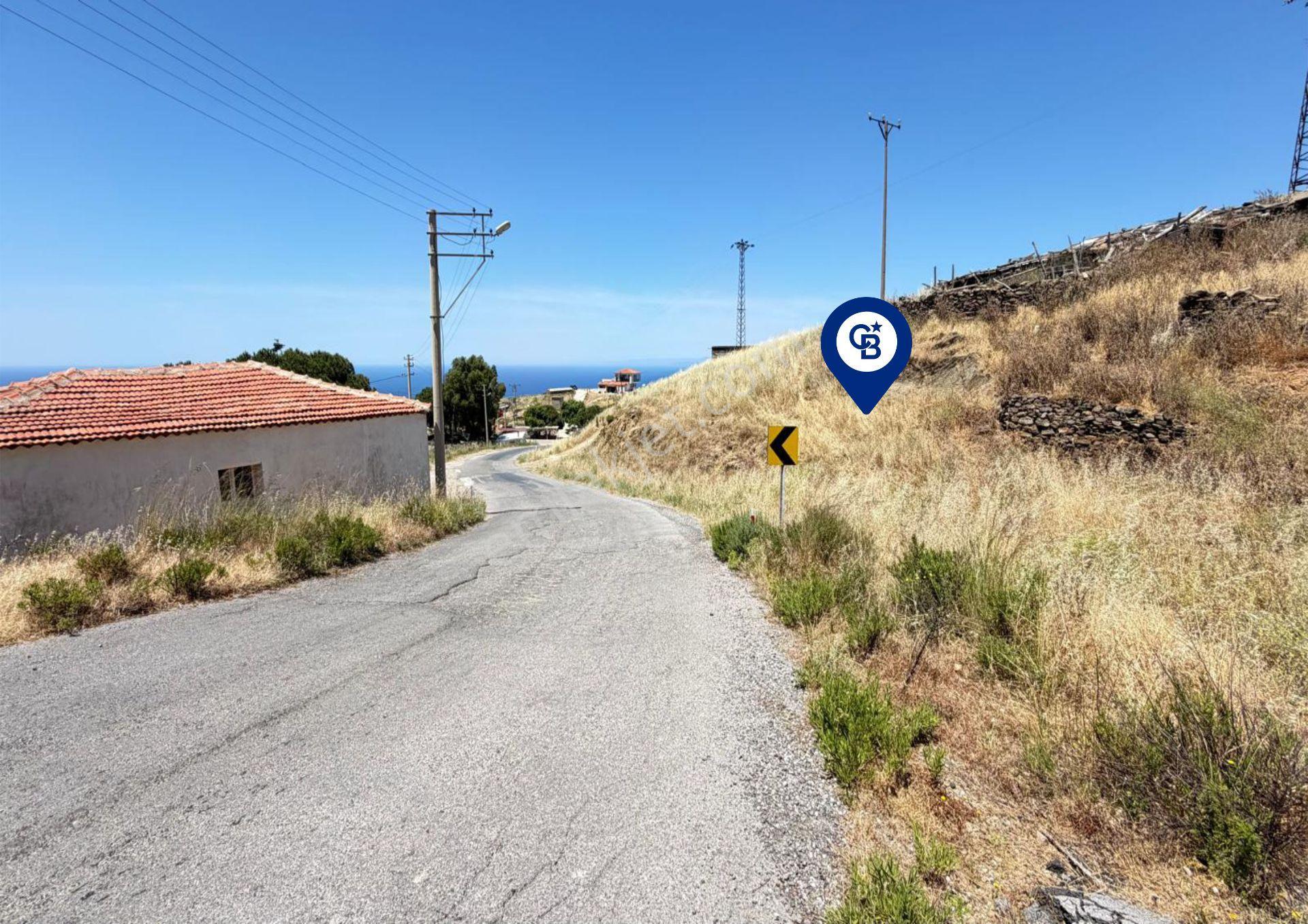 Karaburun Sarpıncık Köyünde Deniz Ve Doğa Manzaralı Tarla - Görsel 8