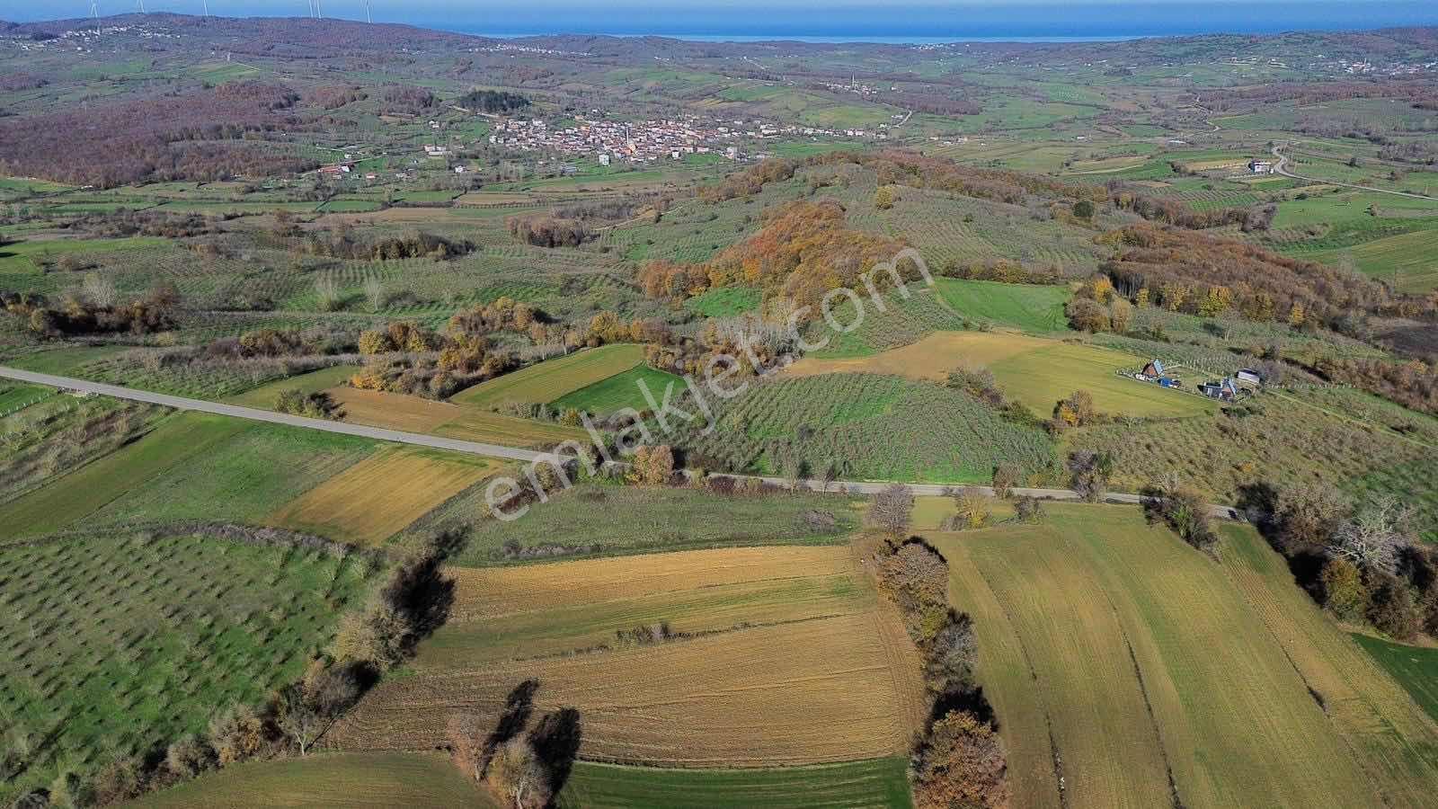 Deallife'dan Kandıra'da Fırsat Arsa - Görsel 4