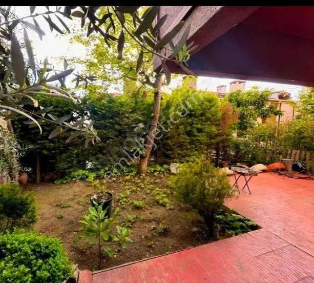 Acil Kiralık - Görsel 3