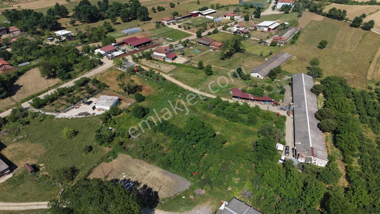 Kandıra Özbey Köyünde Resmi Yola 1 Parsel 1071 M² Arazi - Görsel 8