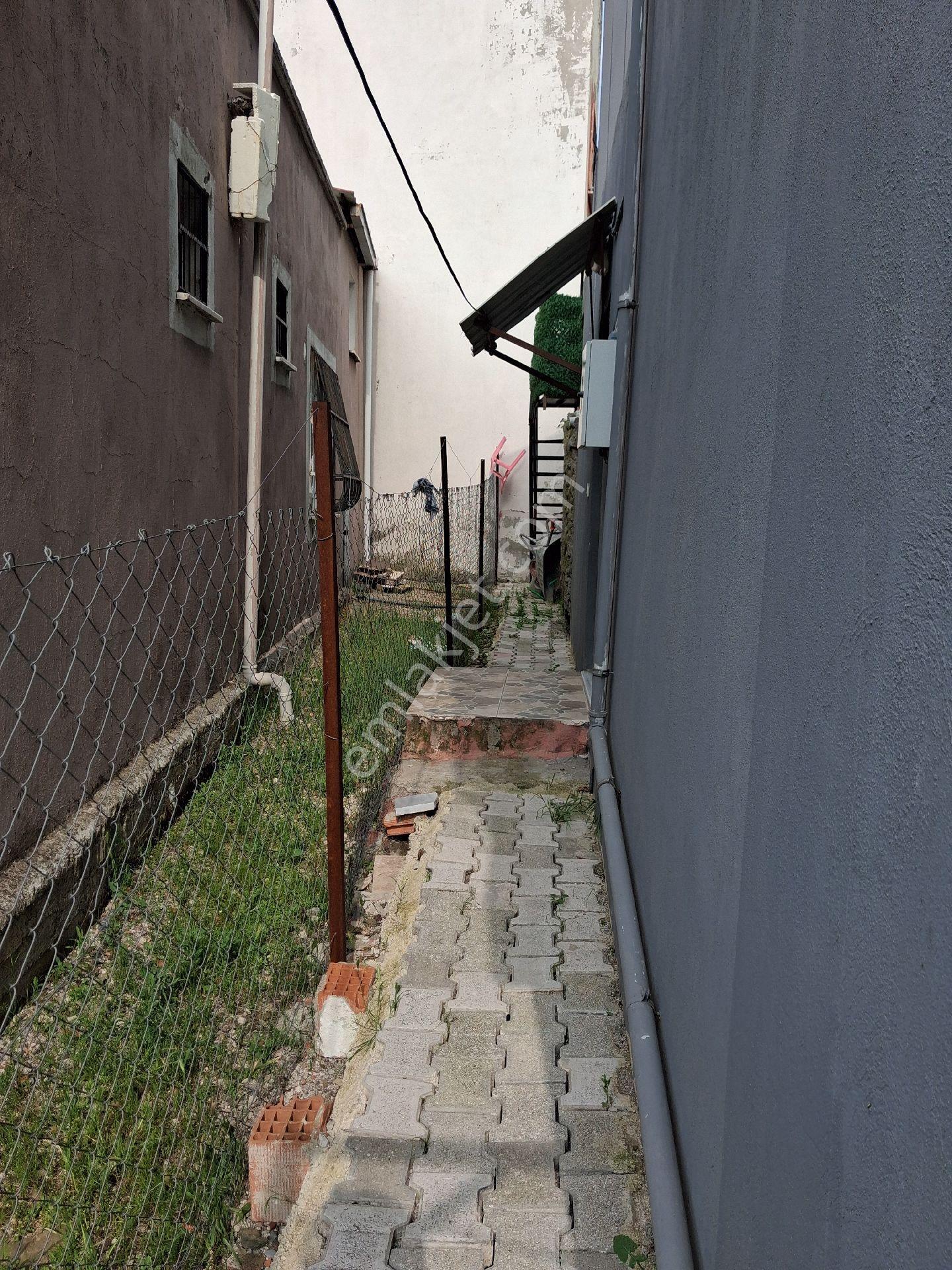 Doğa İle Yaşam - Görsel 18