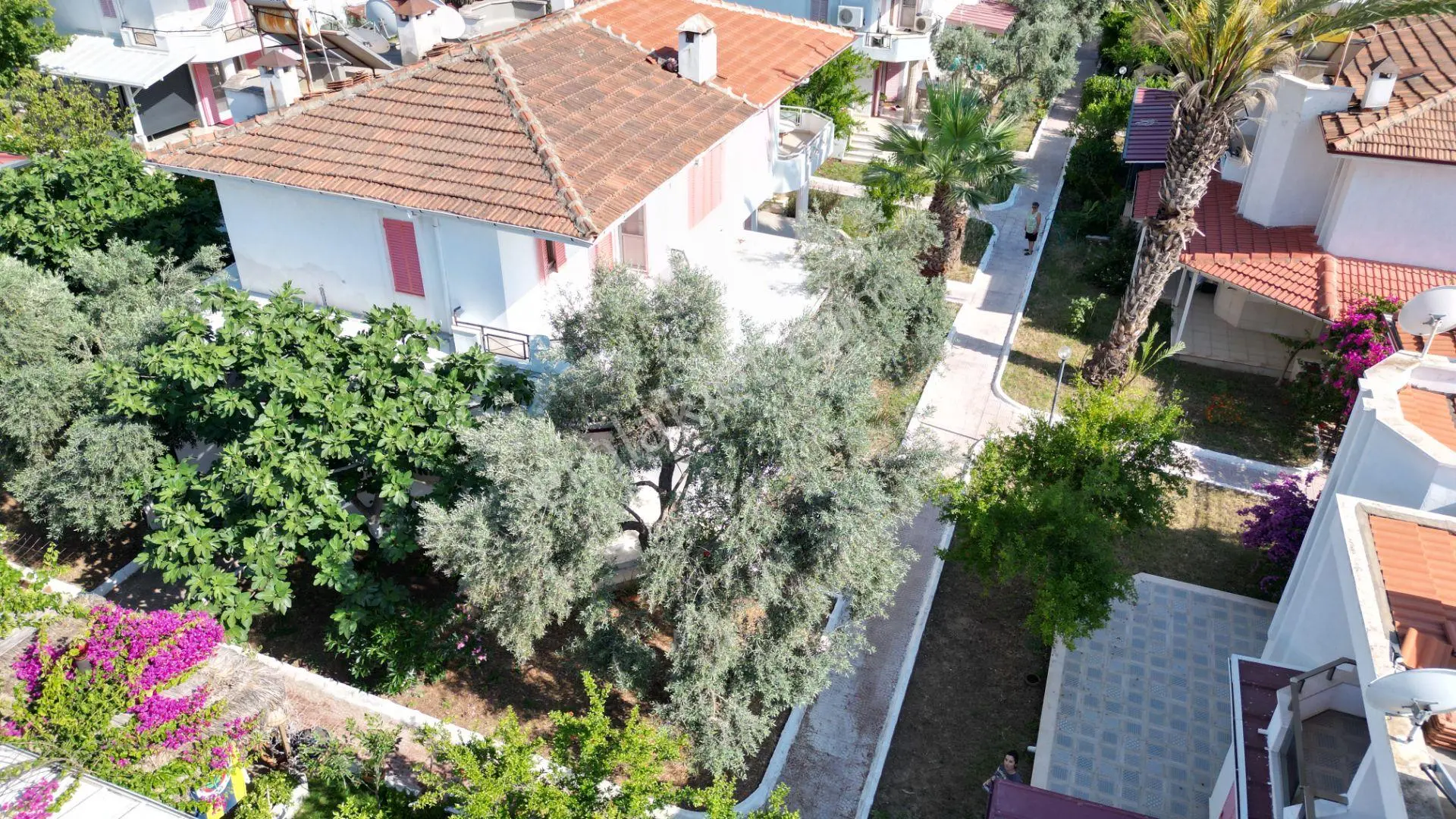 Didim Akbük Koyunda Satılık Müstakil Ev-bahçeli Denize 300 Metre 3+1 Deniz Manzaralı - Görsel 10