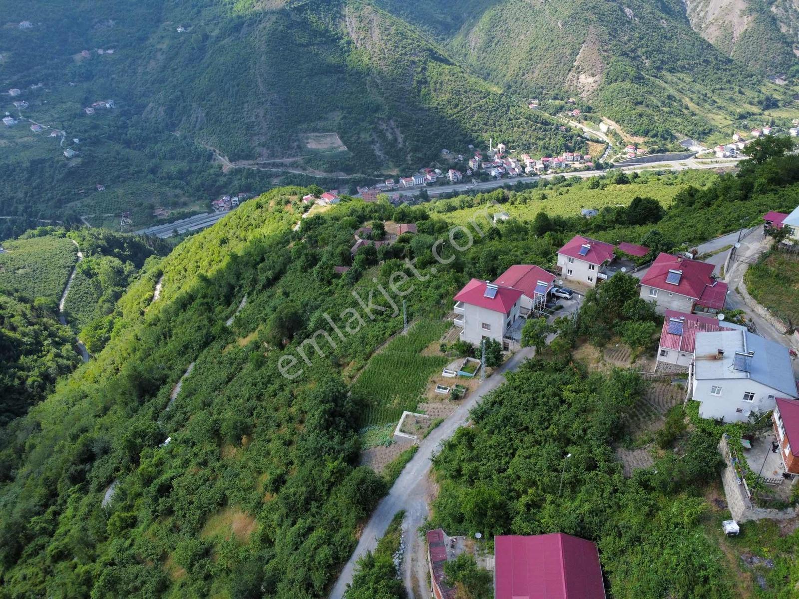 Acil Trabzonda Fırsat Arazi - Görsel 2