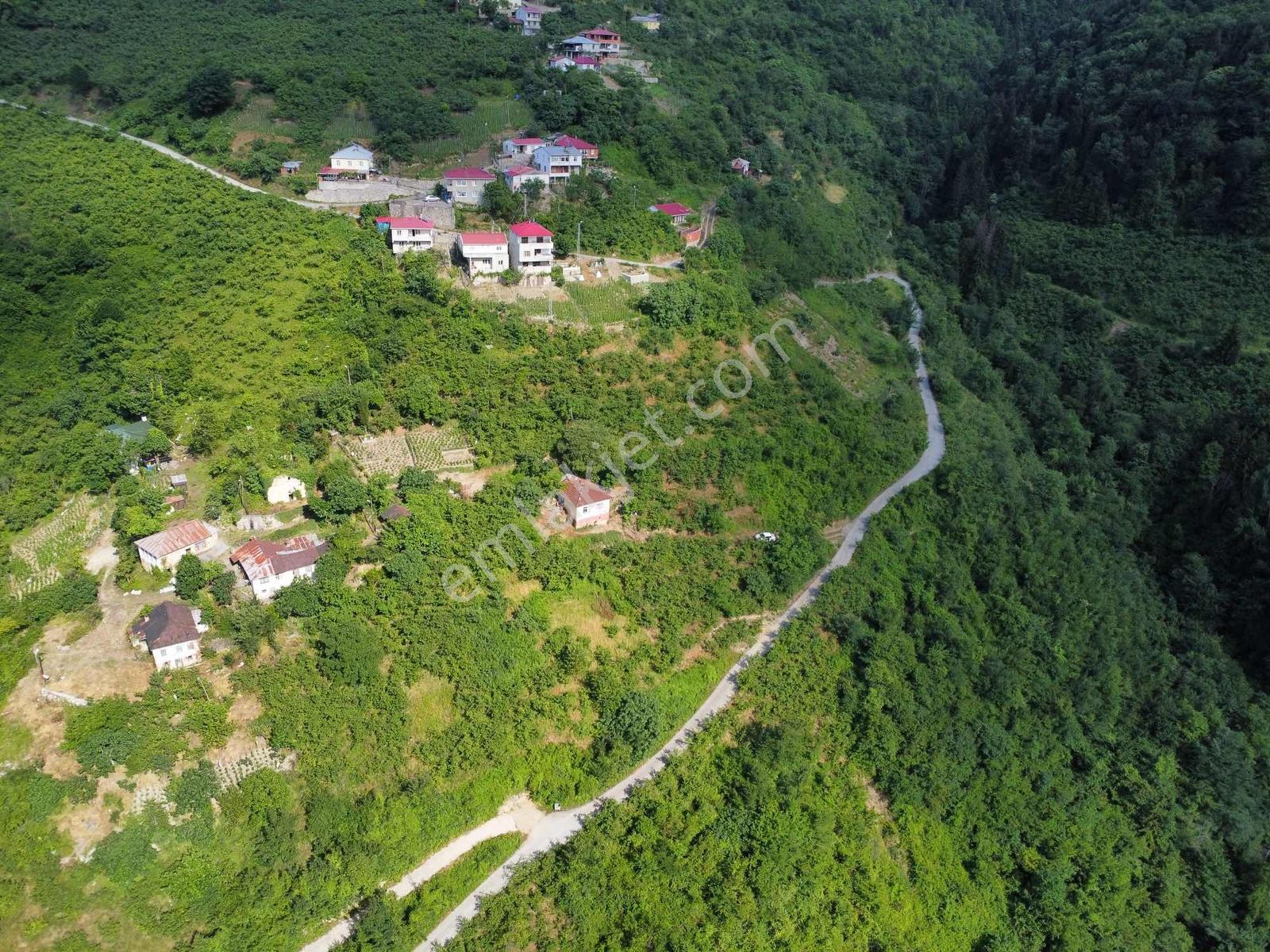 Acil Trabzonda Fırsat Arazi