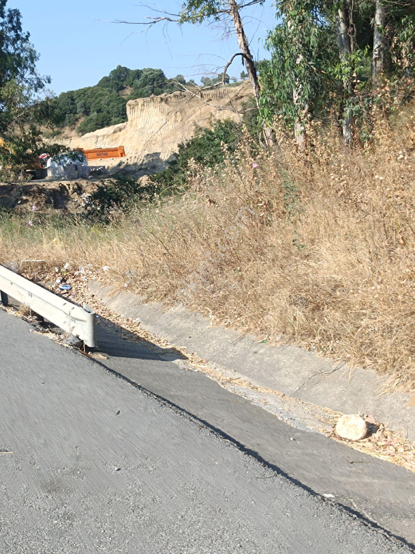 Söke Bodrum Otoyolu Kıyısında Bulunan Satılık Zeytinlik - Görsel 19