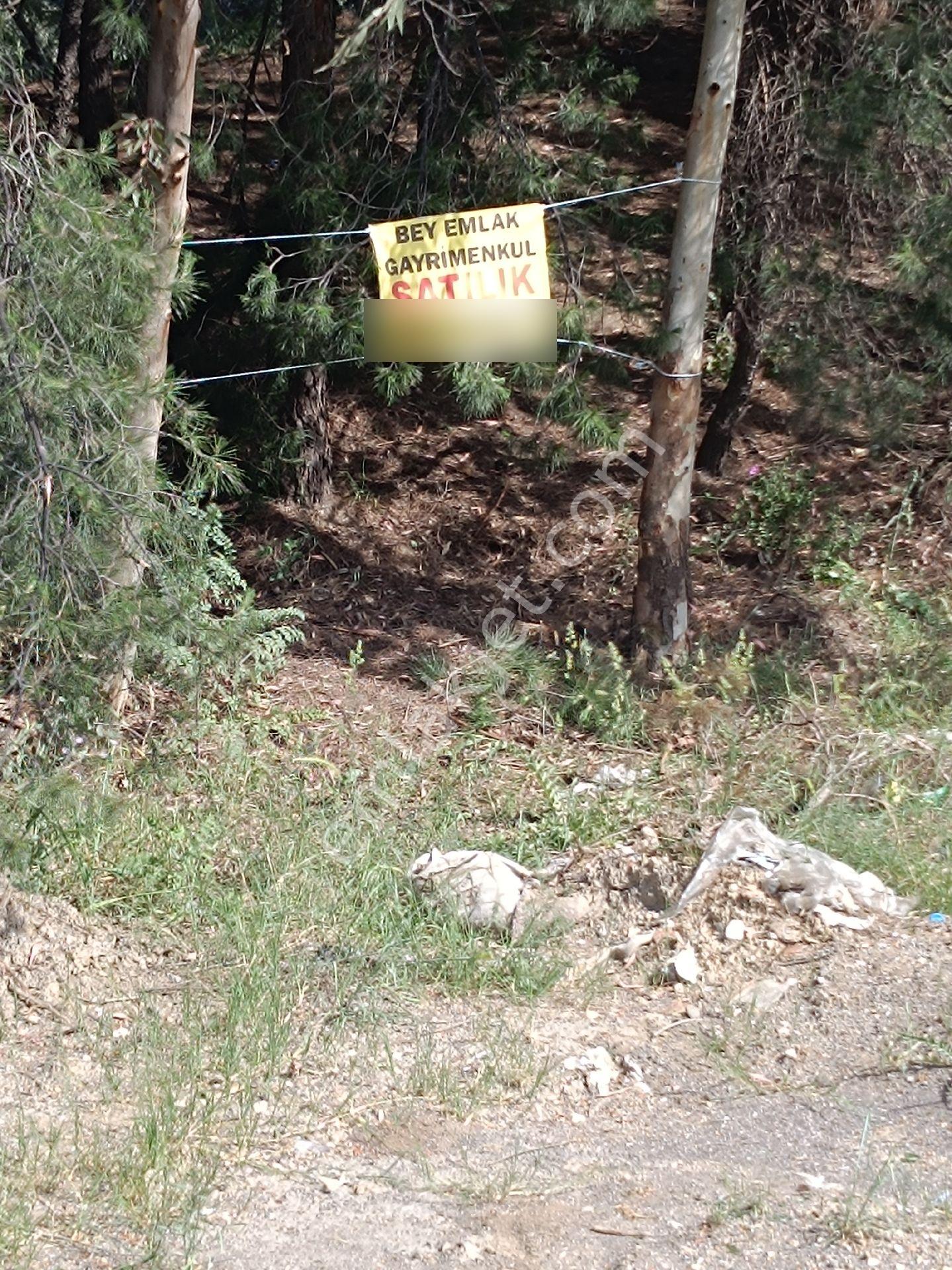 Söke Bodrum Otoyolu Kıyısında Bulunan Satılık Zeytinlik - Görsel 8