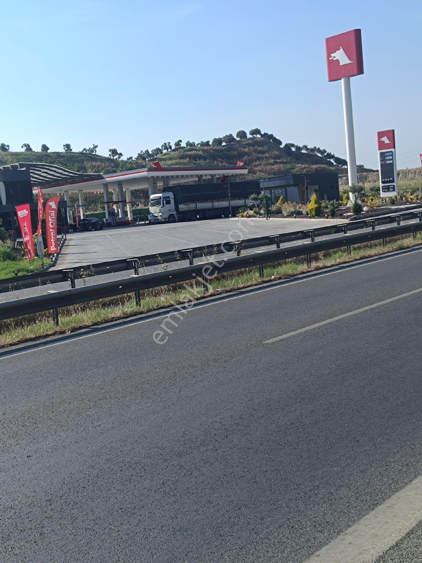 Söke Bodrum Otoyolu Kıyısında Bulunan Satılık Zeytinlik - Görsel 16