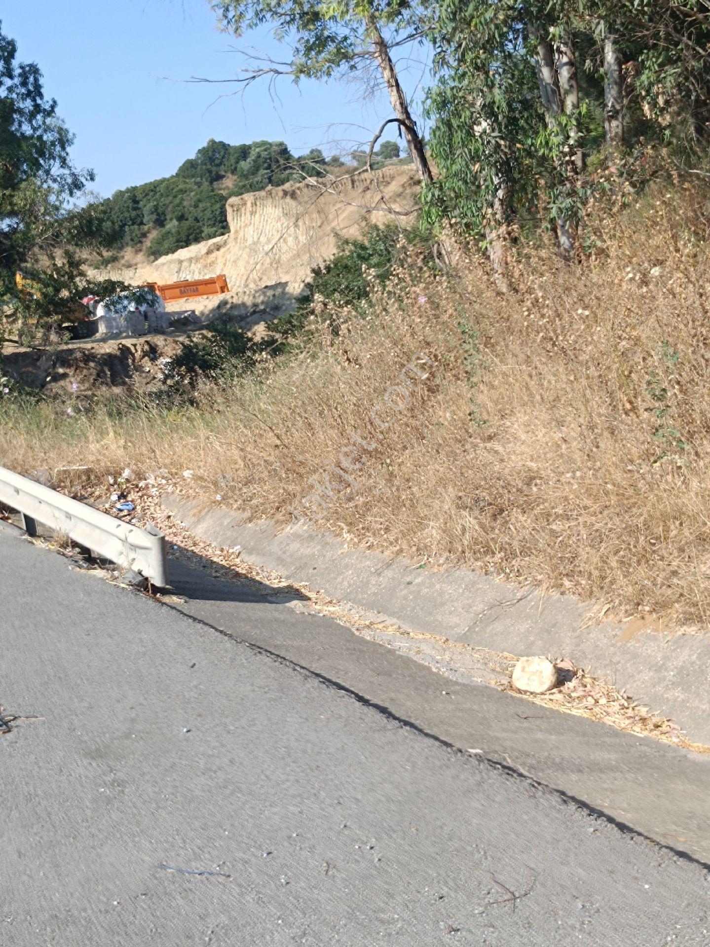 Söke Bodrum Otoyolu Kıyısında Bulunan Satılık Zeytinlik - Görsel 18