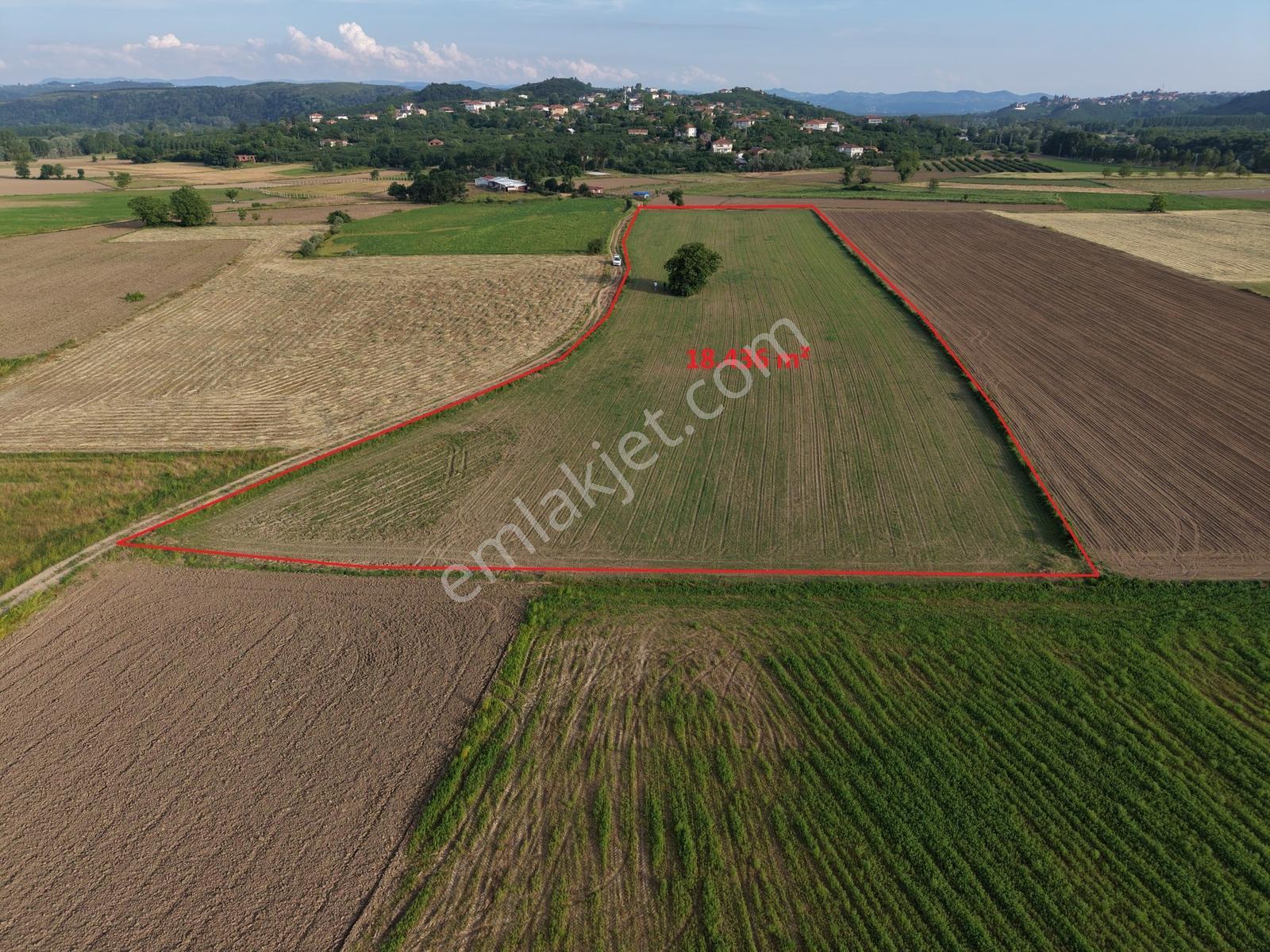 Karasu'da Nehire & Limana Yakın Tarıma Uygun 18.436 M² Tarla - Görsel 6