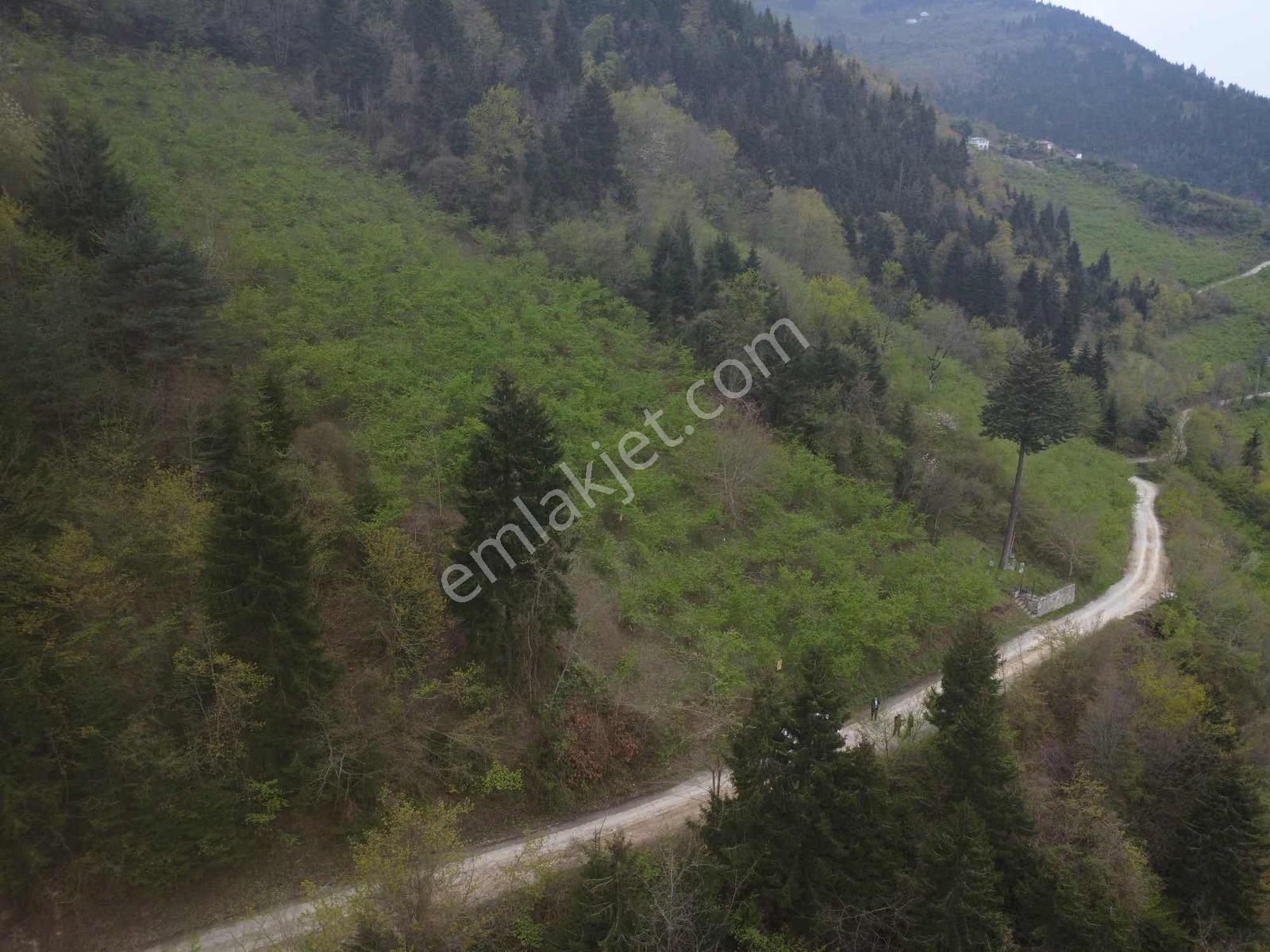 Trabzonda Fırsat Arazi - Görsel 12