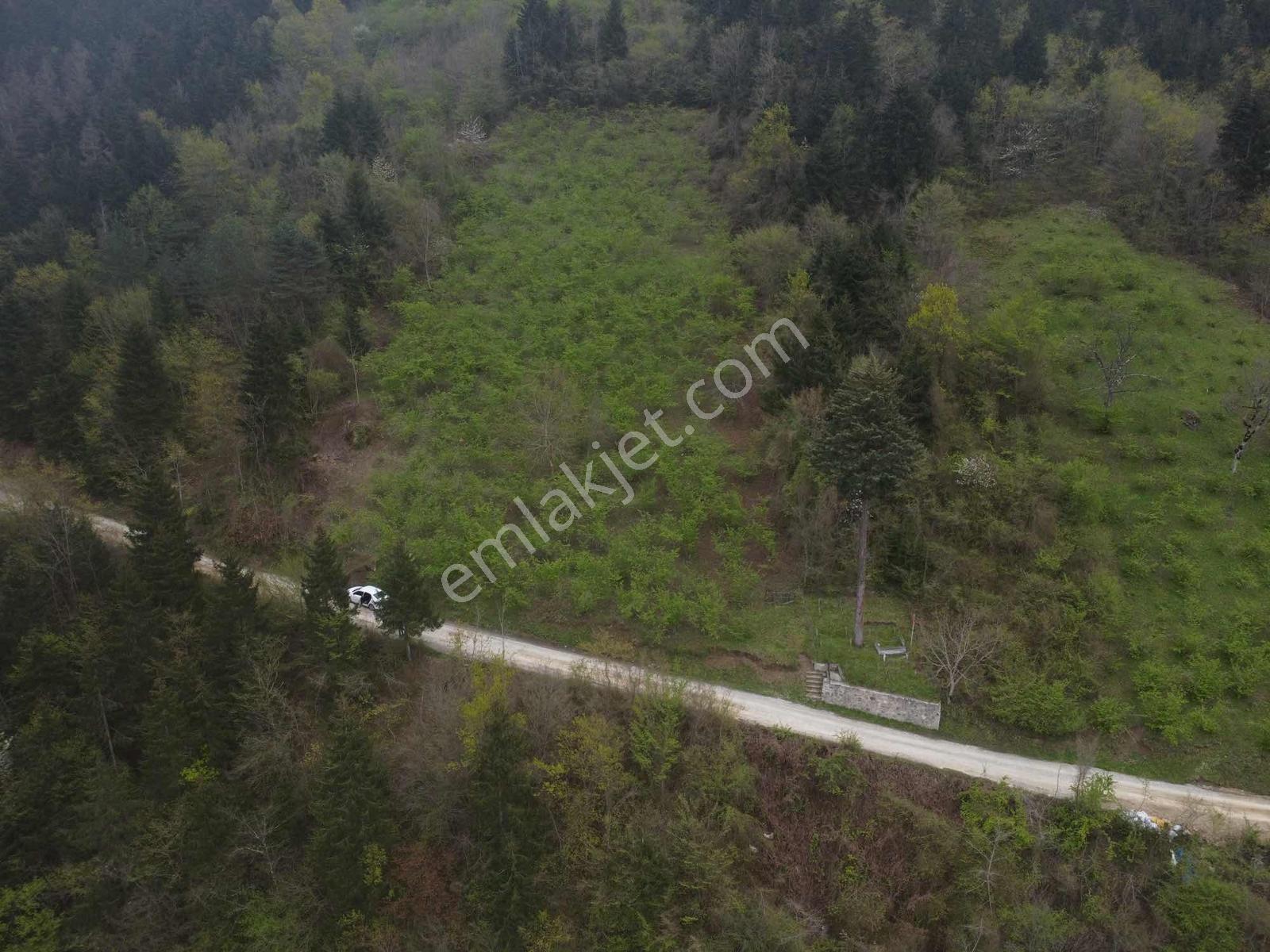 Trabzonda Fırsat Arazi - Görsel 15