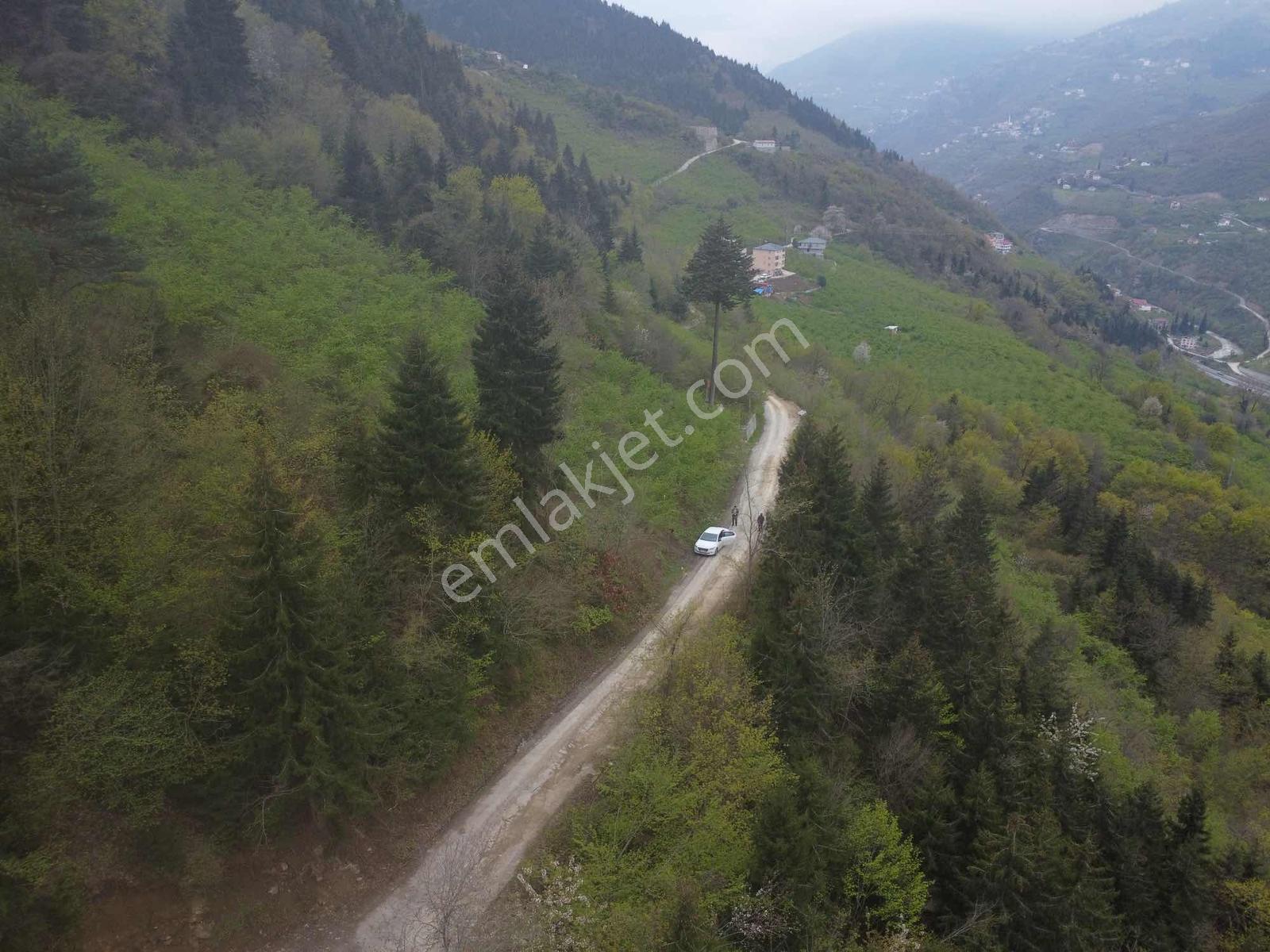 Trabzonda Fırsat Arazi - Görsel 23
