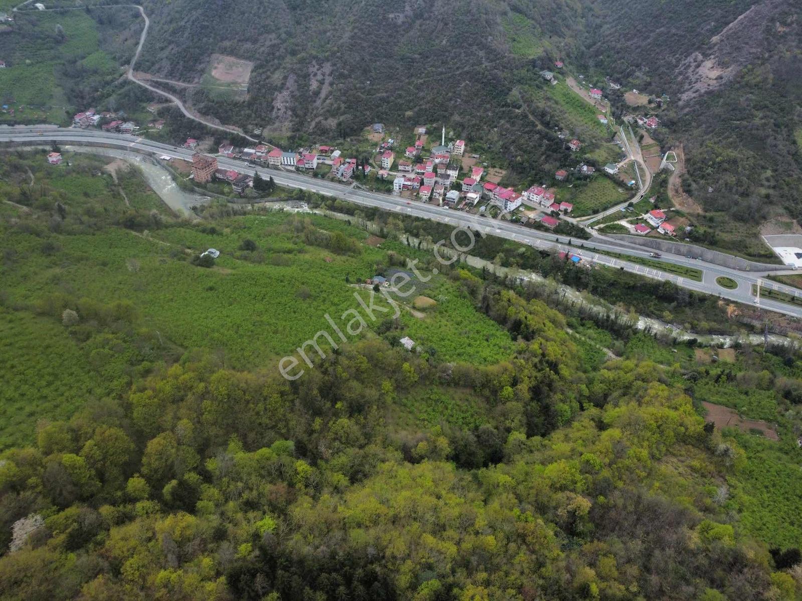 Trabzonda Fırsat Arazi - Görsel 2