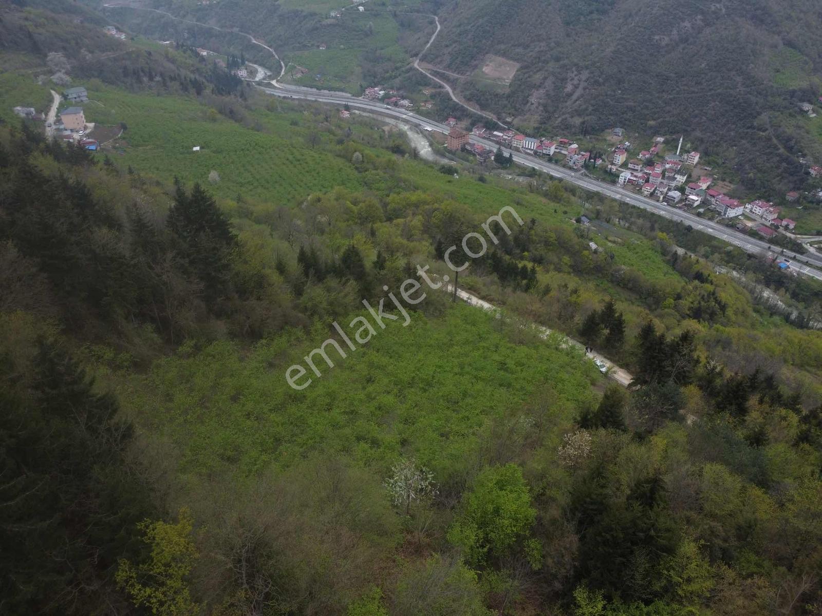 Trabzonda Fırsat Arazi - Görsel 22