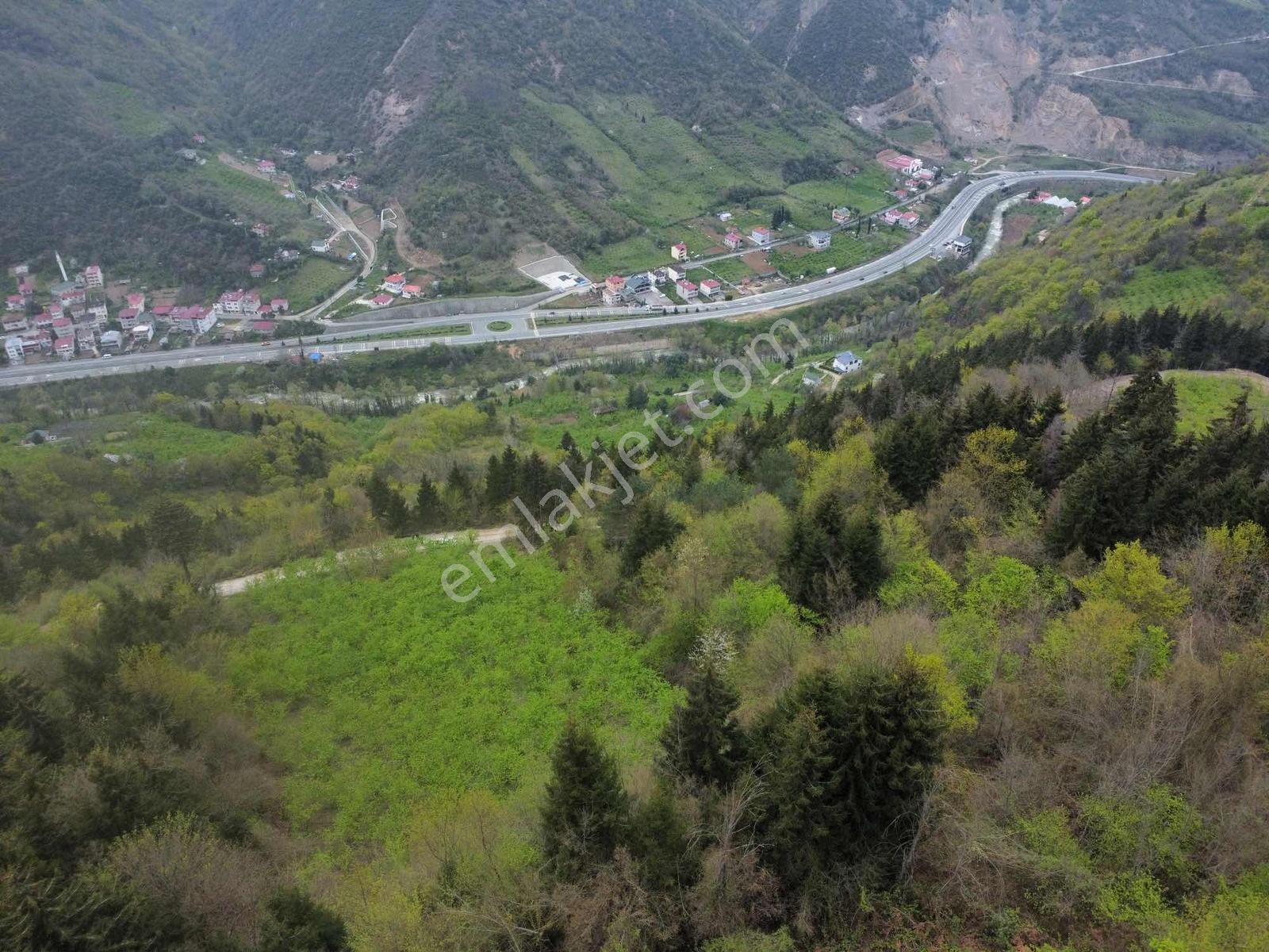 Trabzonda Fırsat Arazi - Görsel 5