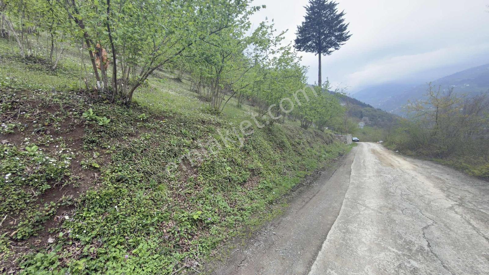 Trabzonda Fırsat Arazi