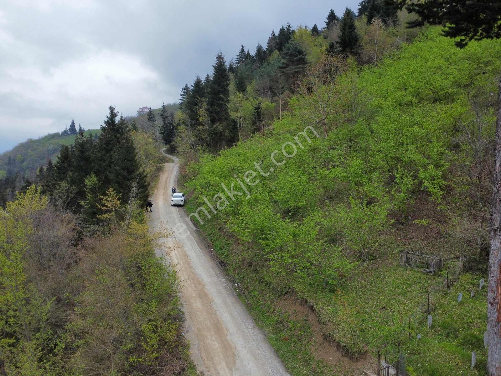 Trabzonda Fırsat Arazi - Görsel 21