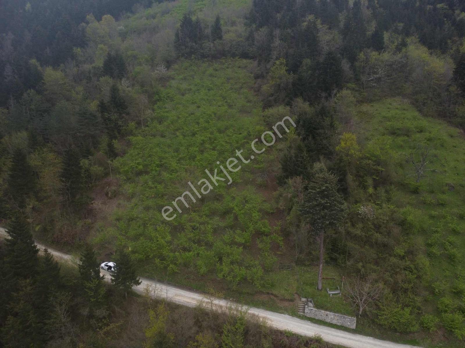Trabzonda Fırsat Arazi - Görsel 10