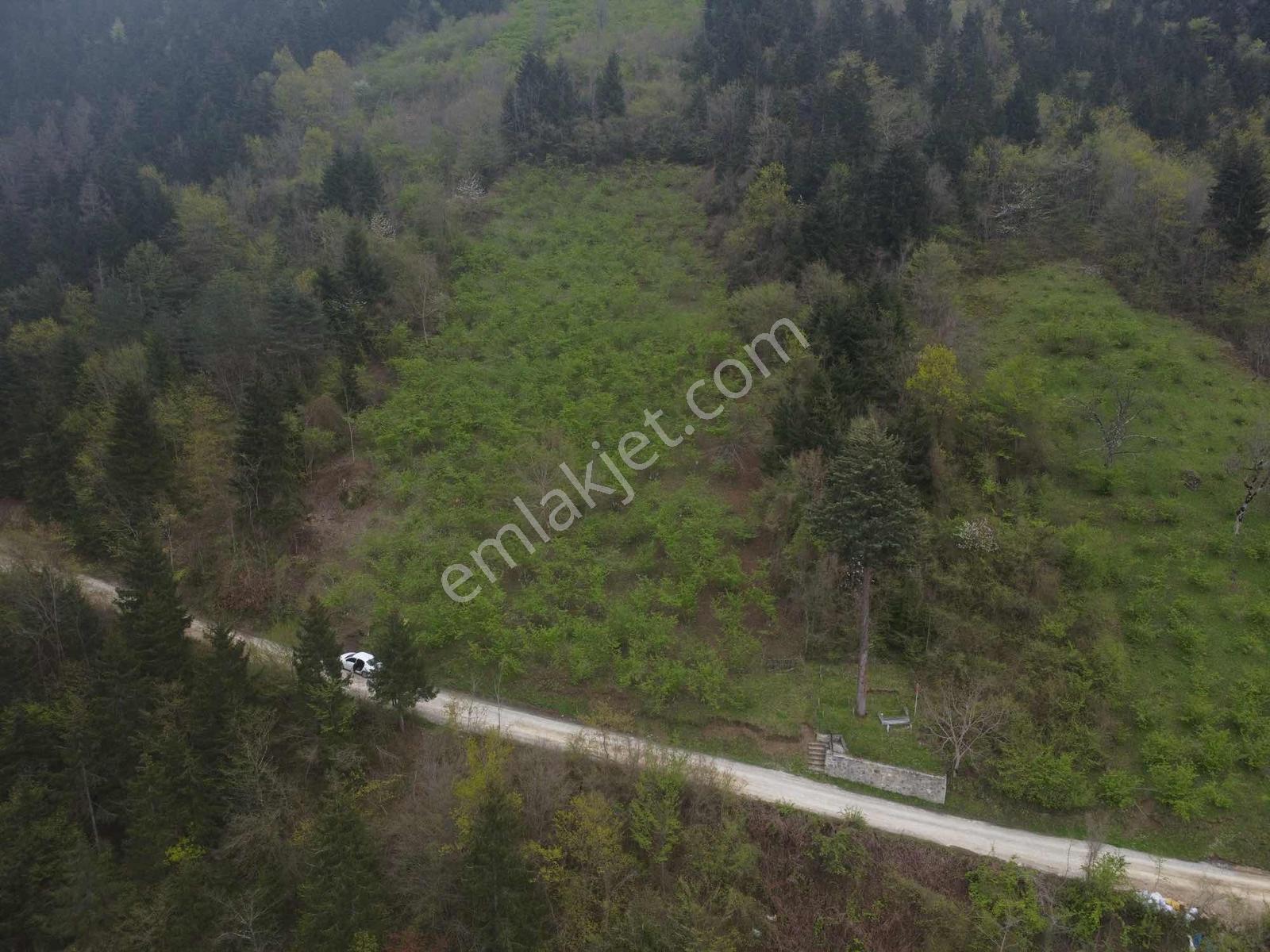 Trabzonda Fırsat Arazi - Görsel 17