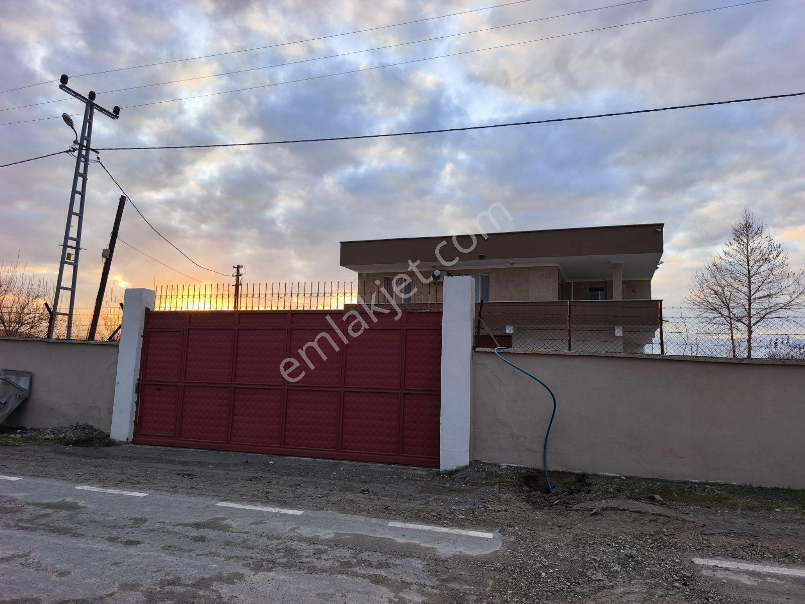 Özbek'te Türkoğlu Narlı Arasında 5.491 M2 Satılık Sulu Tarla - Görsel 18