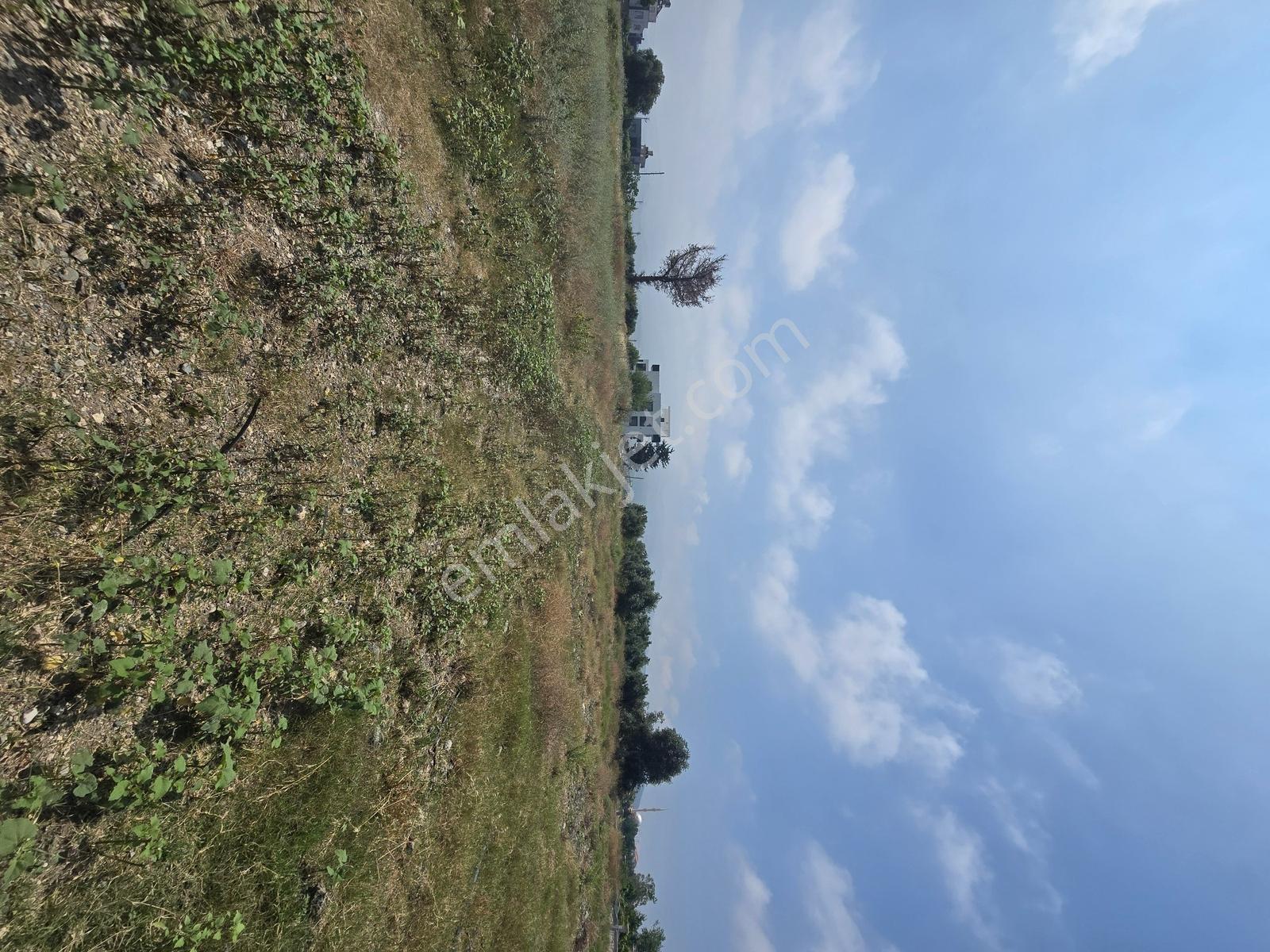 Hatay Arsuz Karahüseyinli De 2275 M2 Satılık İmarlı Arsa - Görsel 11
