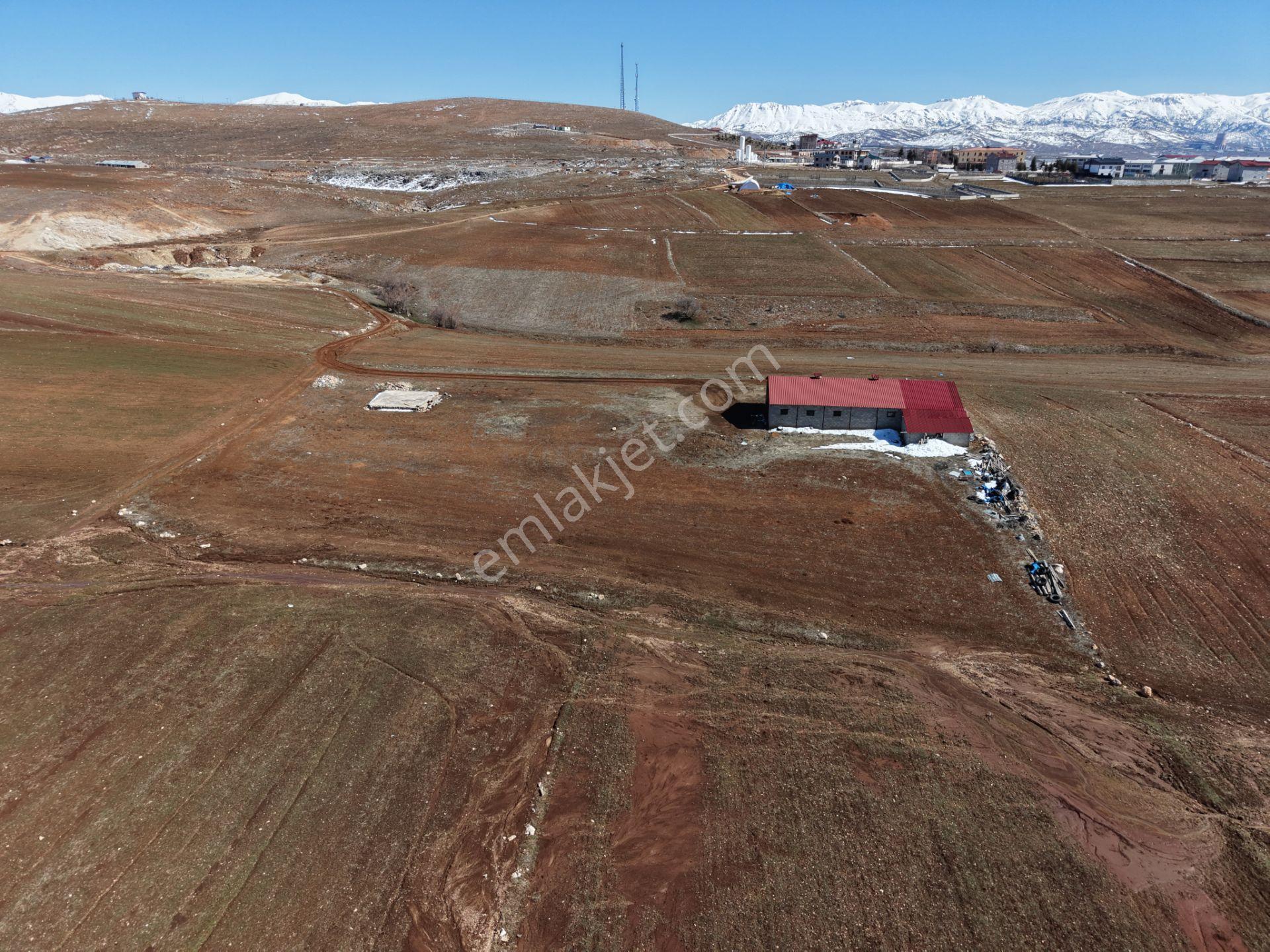 Tufanbeyli Cumhuriyet Mahallesinde 5000m² Alanda Hazır İşe Başlamalık Ahır - Görsel 4