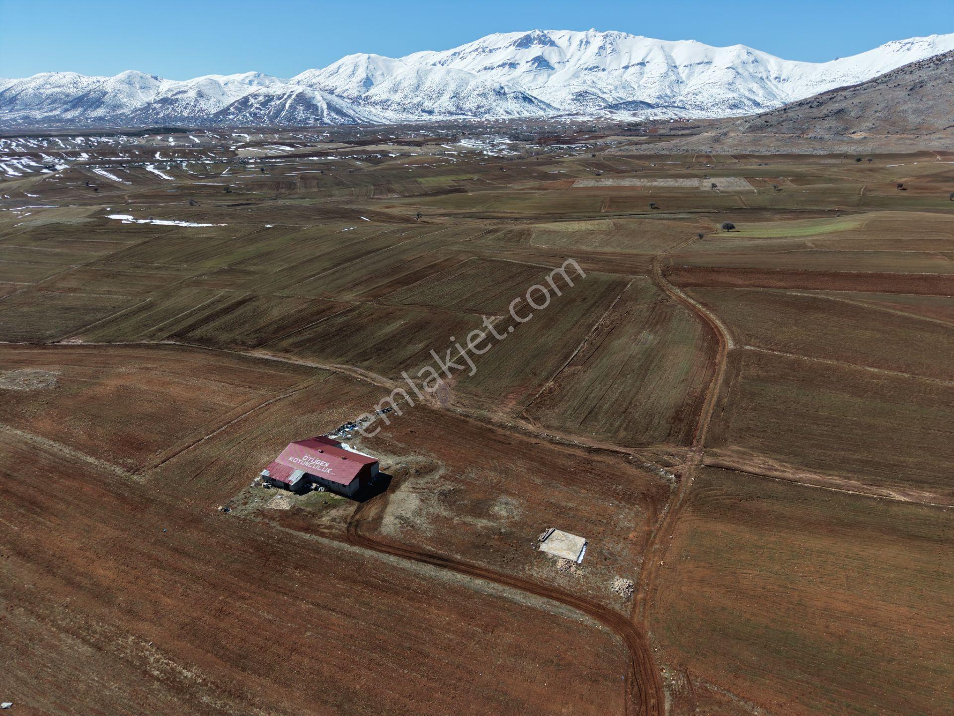 Tufanbeyli Cumhuriyet Mahallesinde 5000m² Alanda Hazır İşe Başlamalık Ahır - Görsel 2