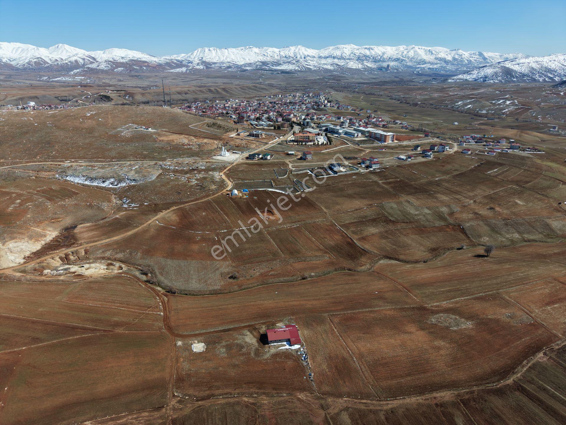 Tufanbeyli Cumhuriyet Mahallesinde 5000m² Alanda Hazır İşe Başlamalık Ahır - Görsel 5