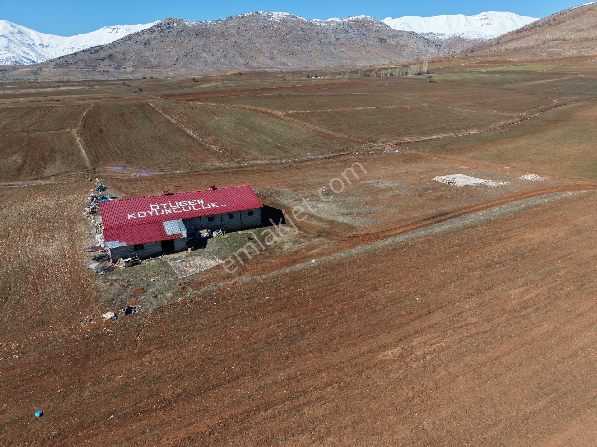 Tufanbeyli Cumhuriyet Mahallesinde 5000m² Alanda Hazır İşe Başlamalık Ahır - Görsel 3