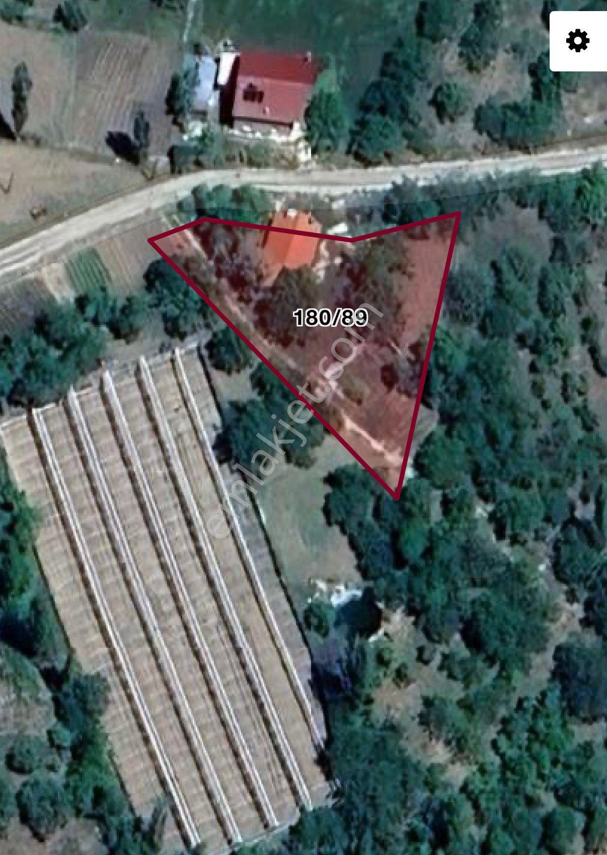 Satılık Kaş Sütleğen’de Müstakil Tapulu 1.100 M² Tarla+müstakil Ev - Görsel 6
