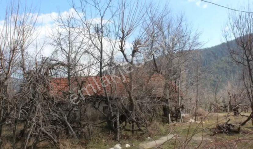 Satılık Kaş Sütleğen’de Müstakil Tapulu 1.100 M² Tarla+müstakil Ev - Görsel 3