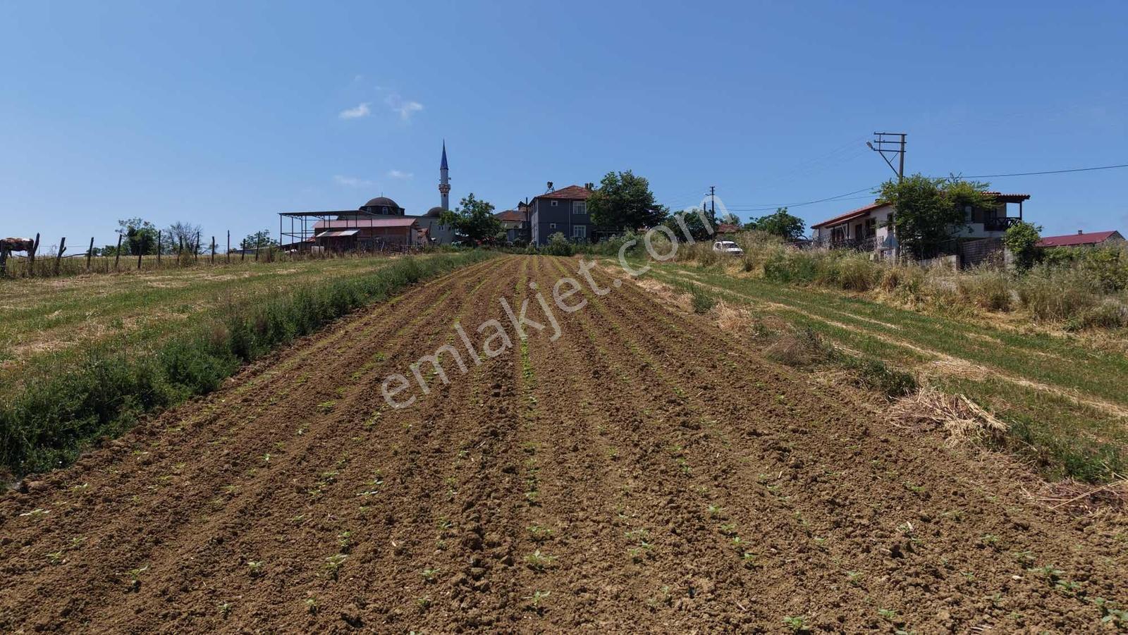 Kerpe' De Köye Yakın 1.581 M2 Resmi Yola 1 Parsel Fırsat Arazi - Görsel 5