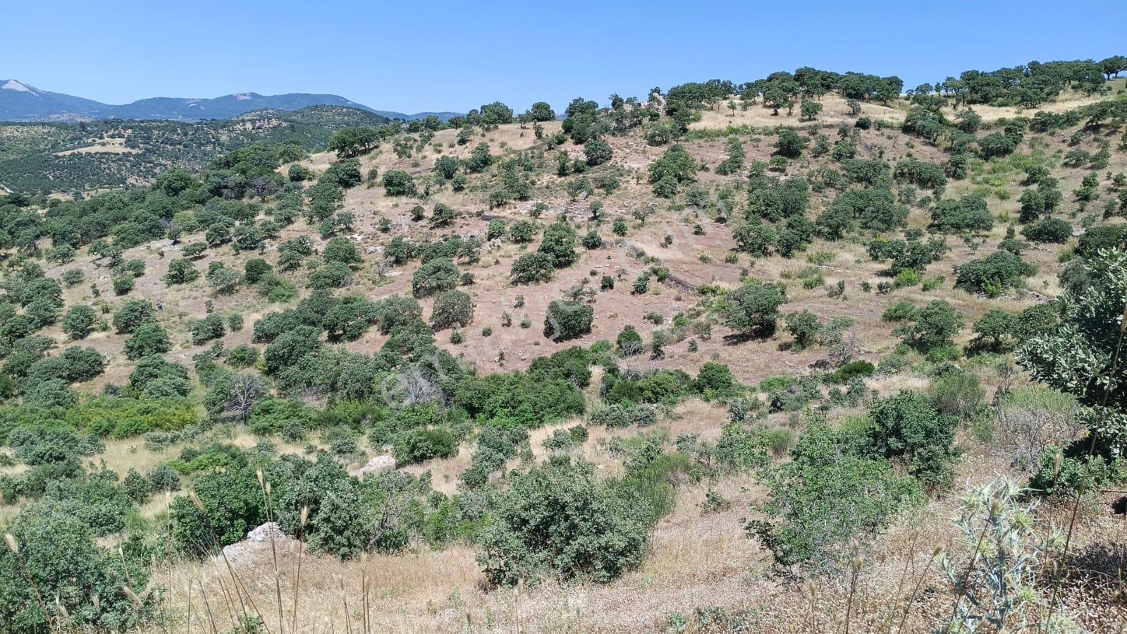 Baraj Manzaralı 7200 M2 Tarla - Görsel 5